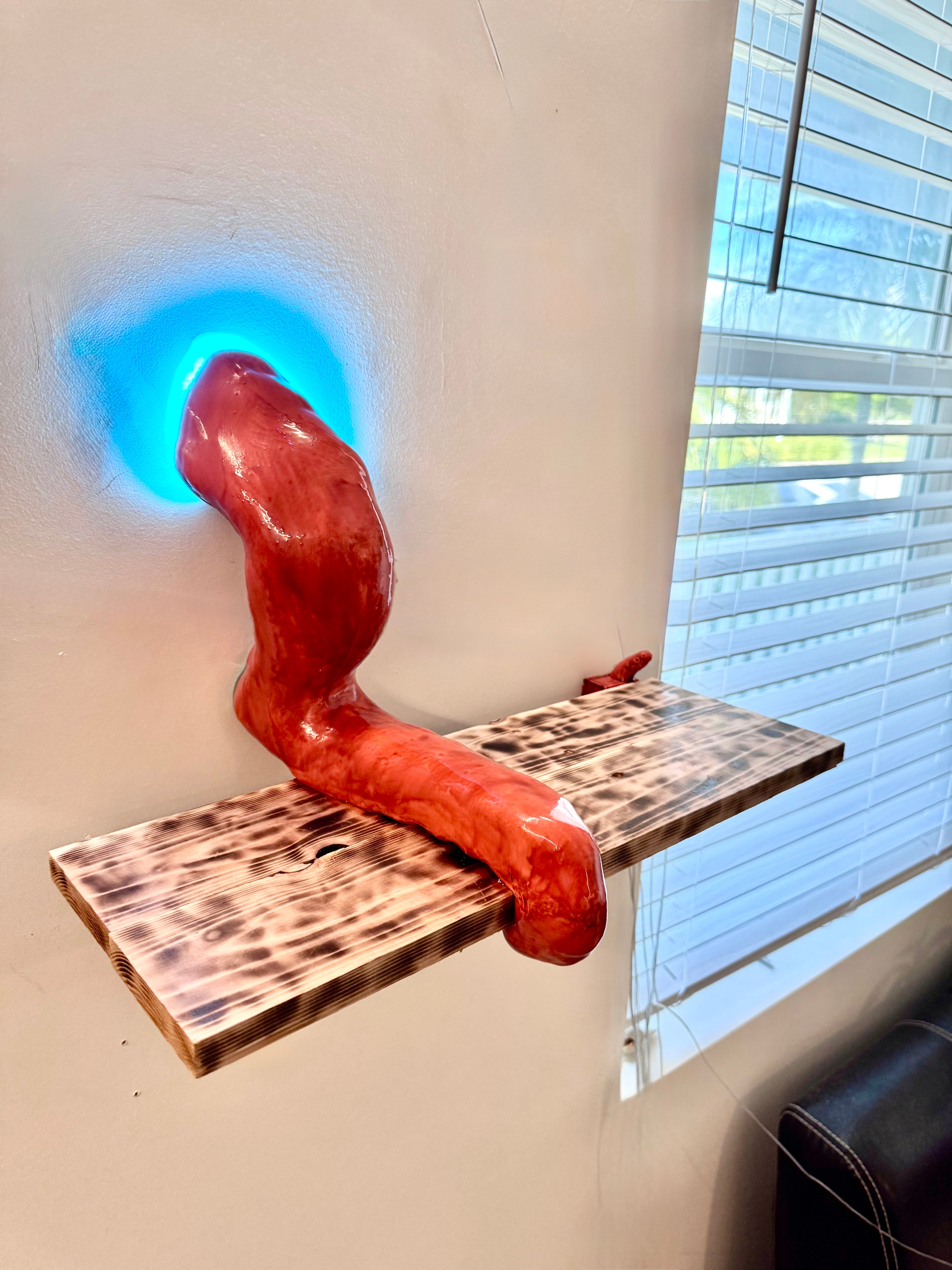 Octopus Tentacle floating shelf
