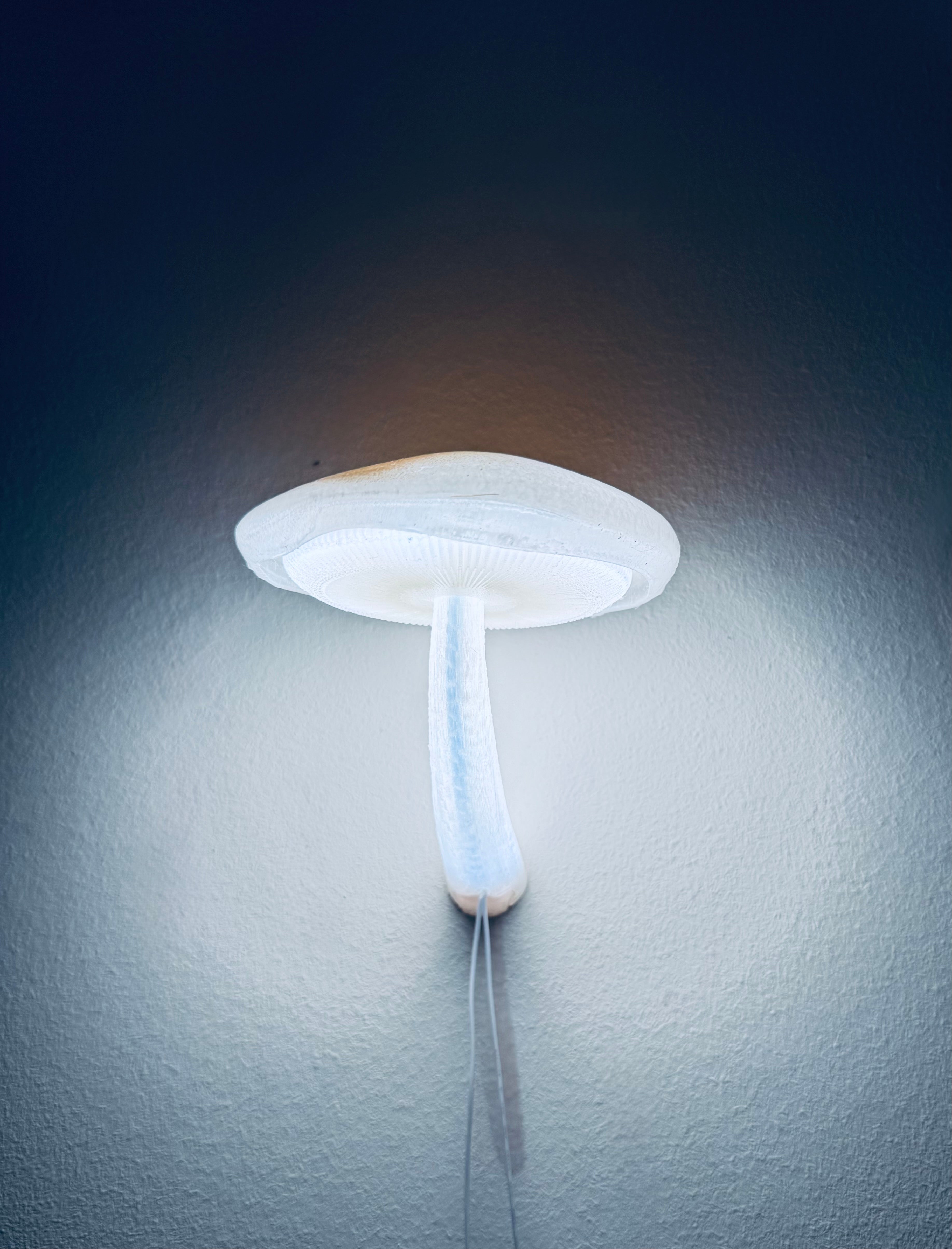 Mushroom lamp