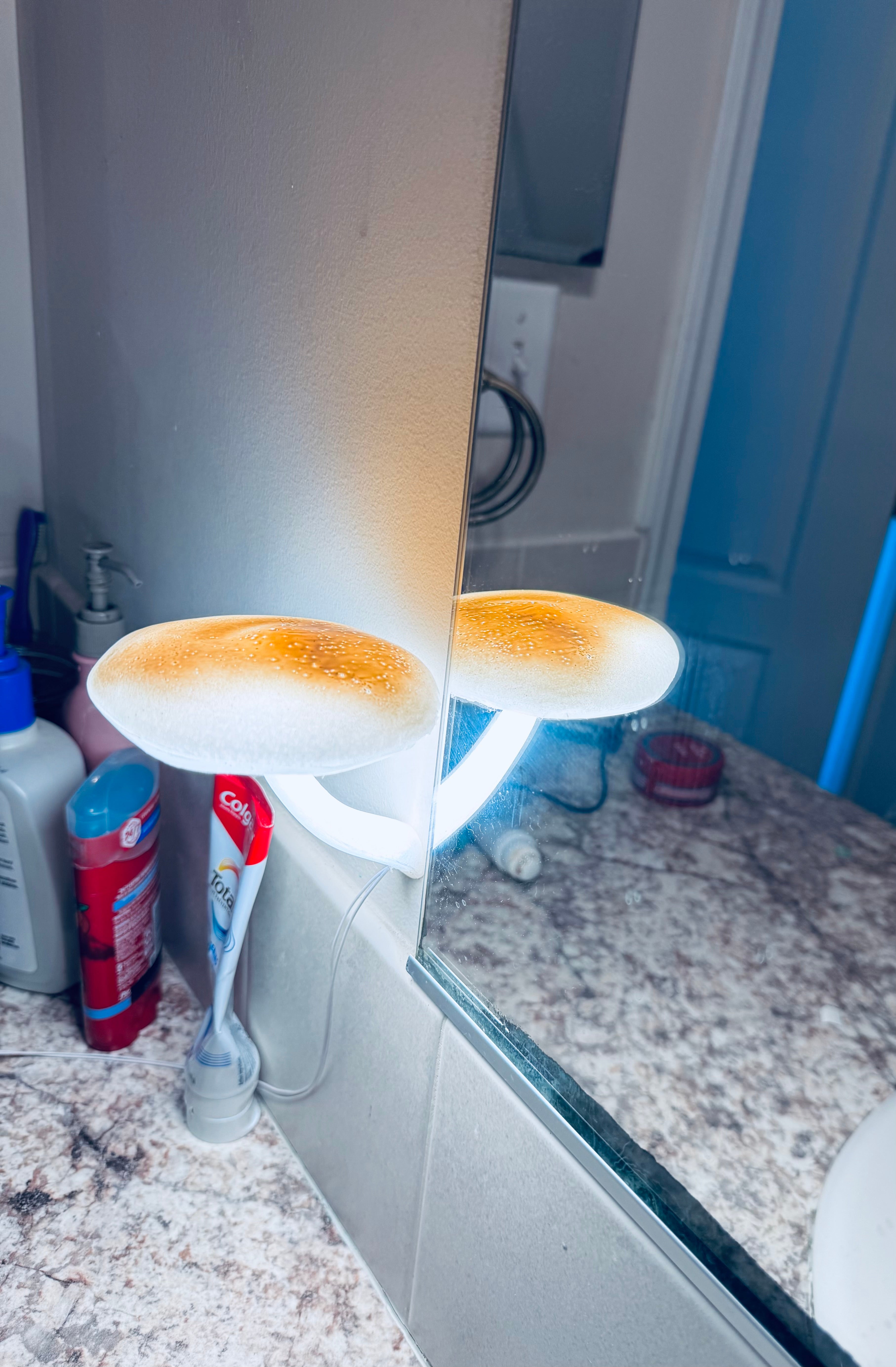 Mushroom lamp
