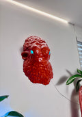 Octopus head