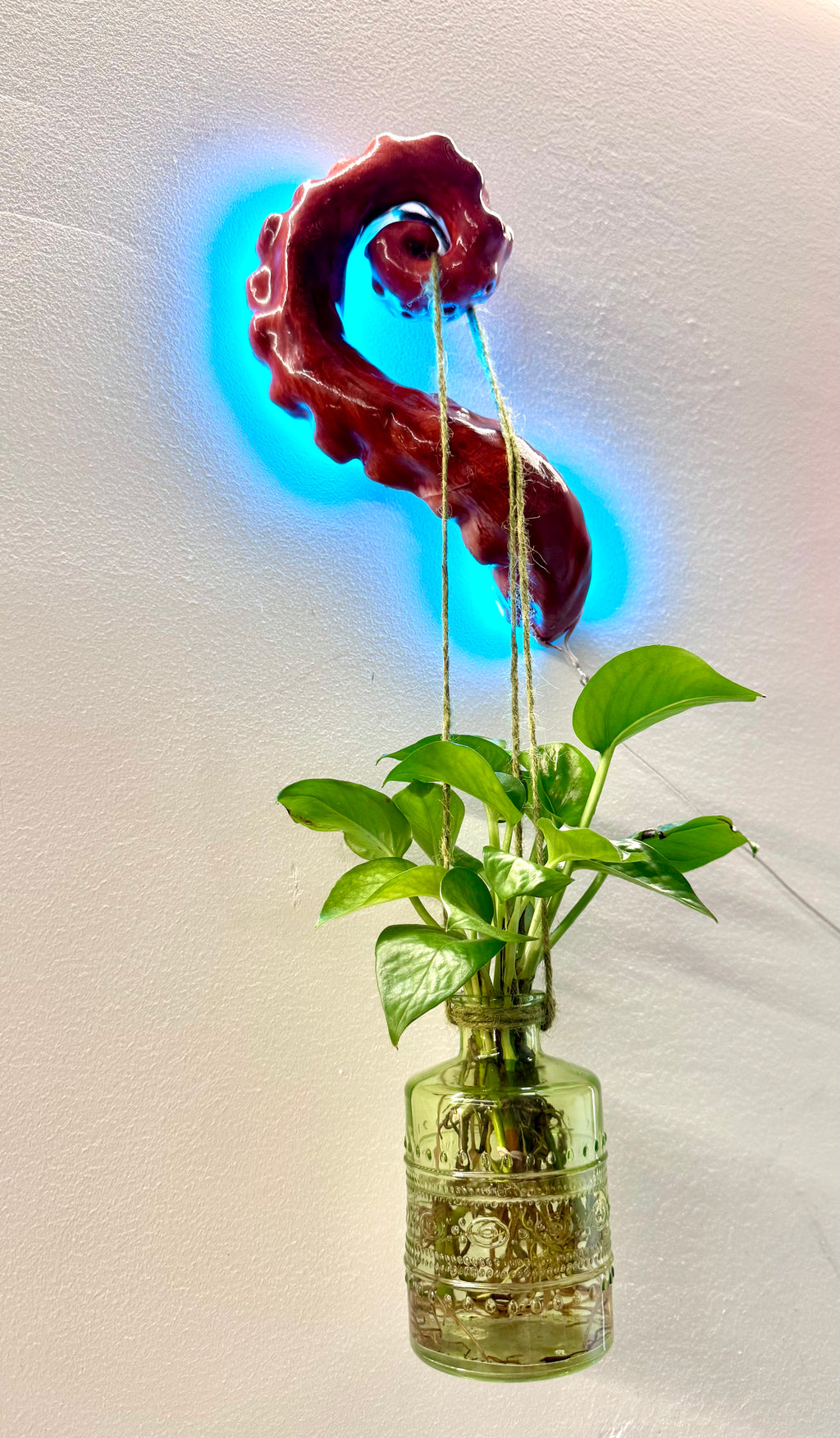Tentacle3 hanging planter