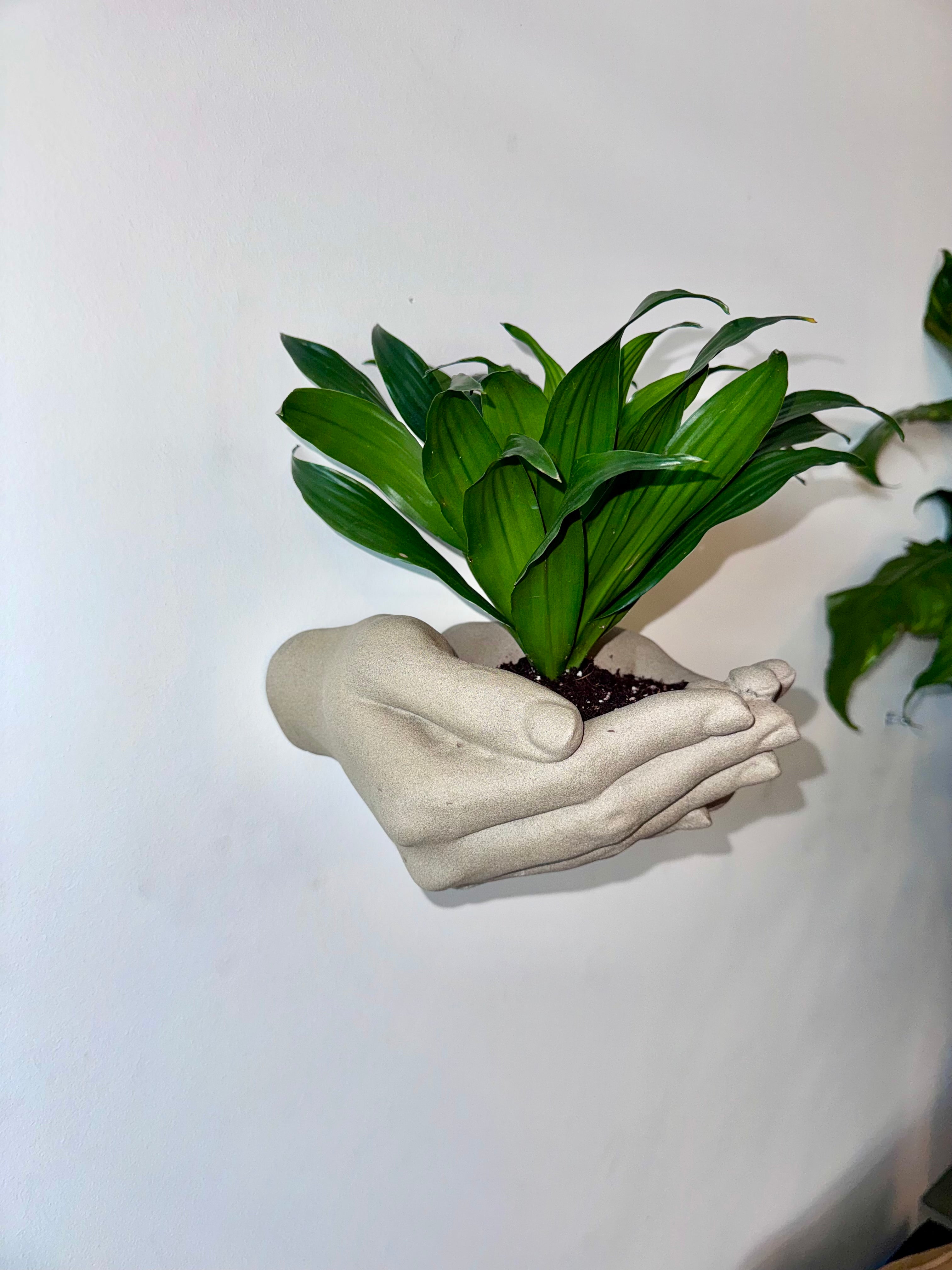 Two hand wall planter