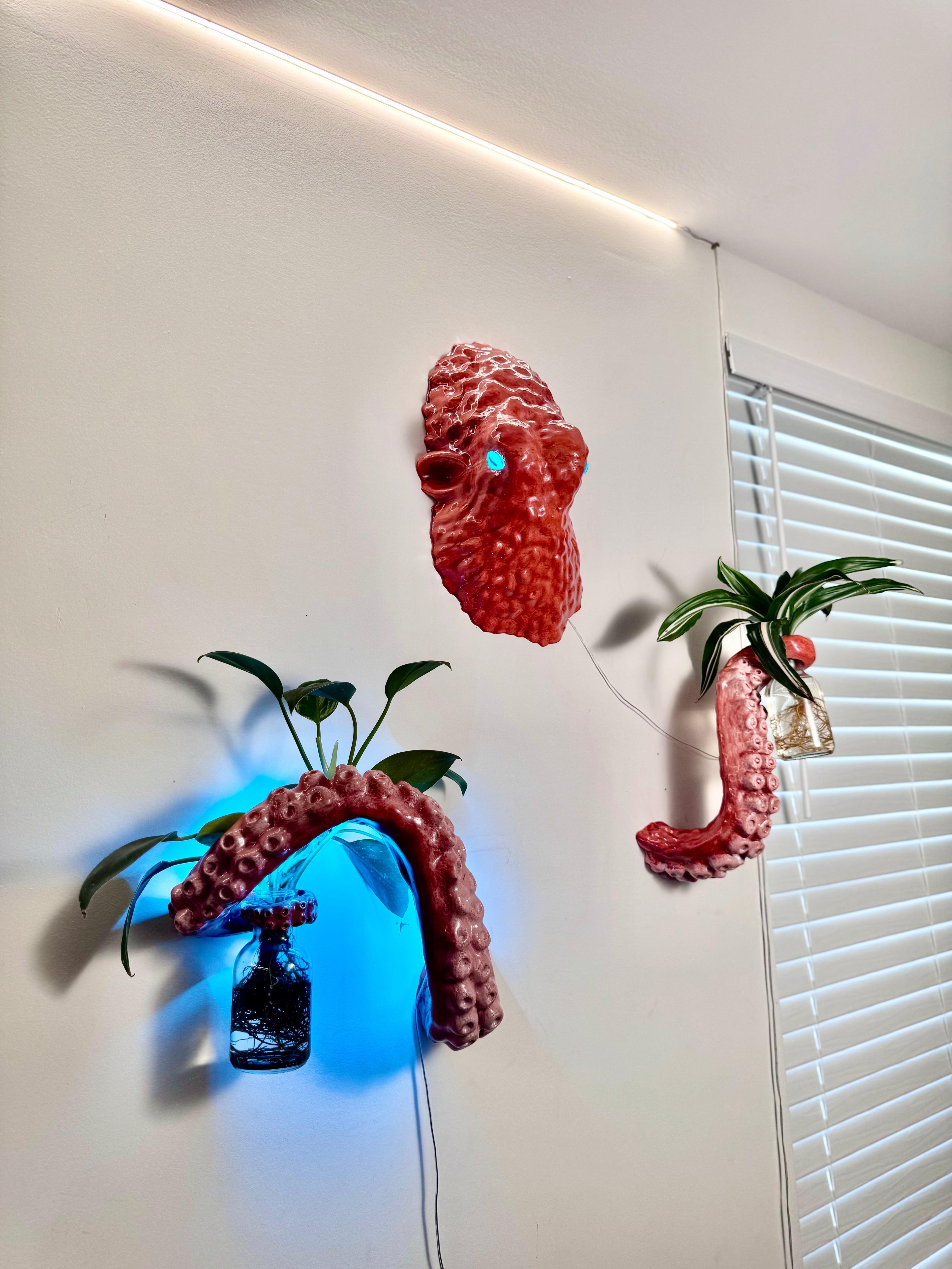 The octopus planter full set
