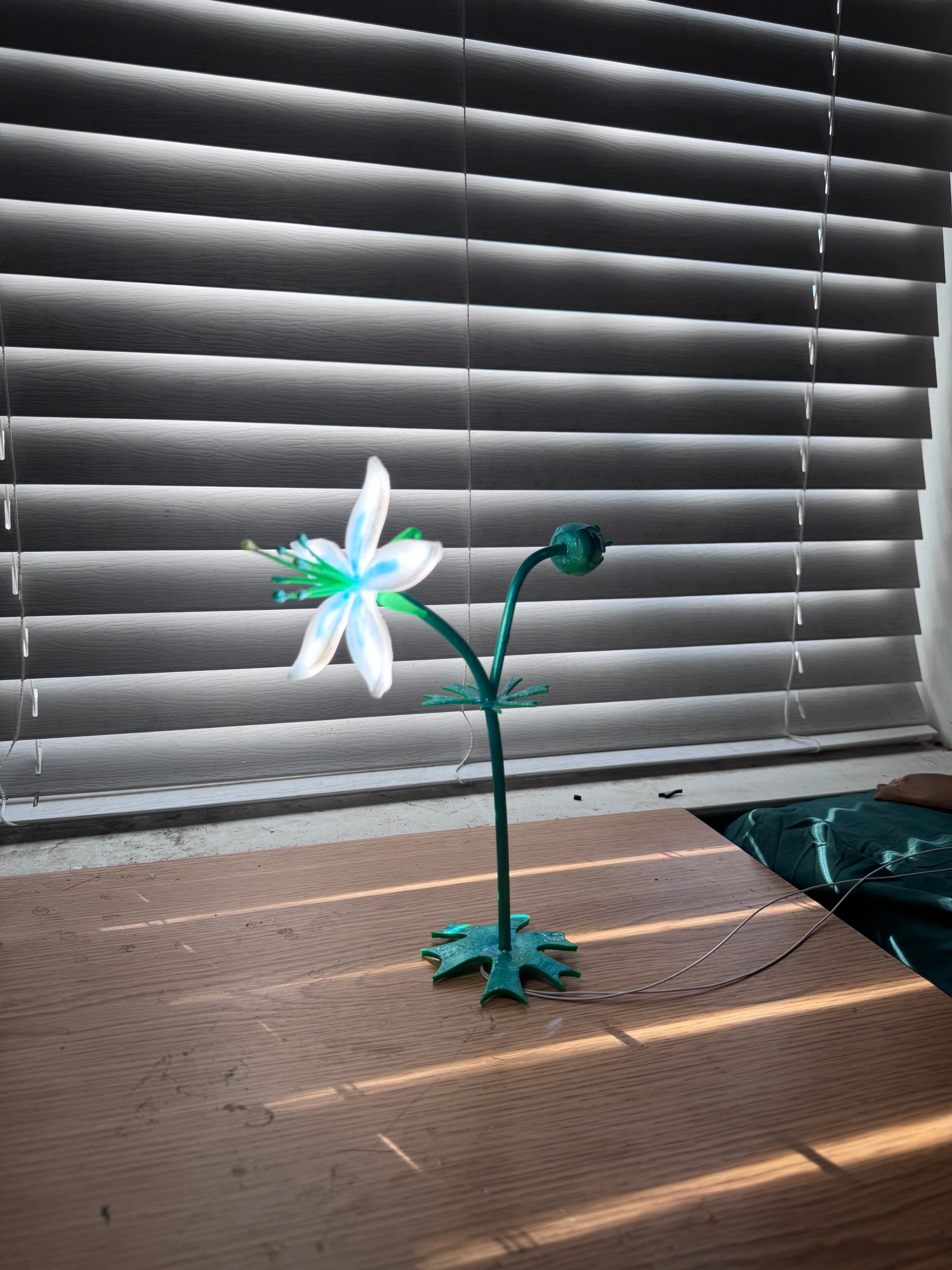 Flower lamp