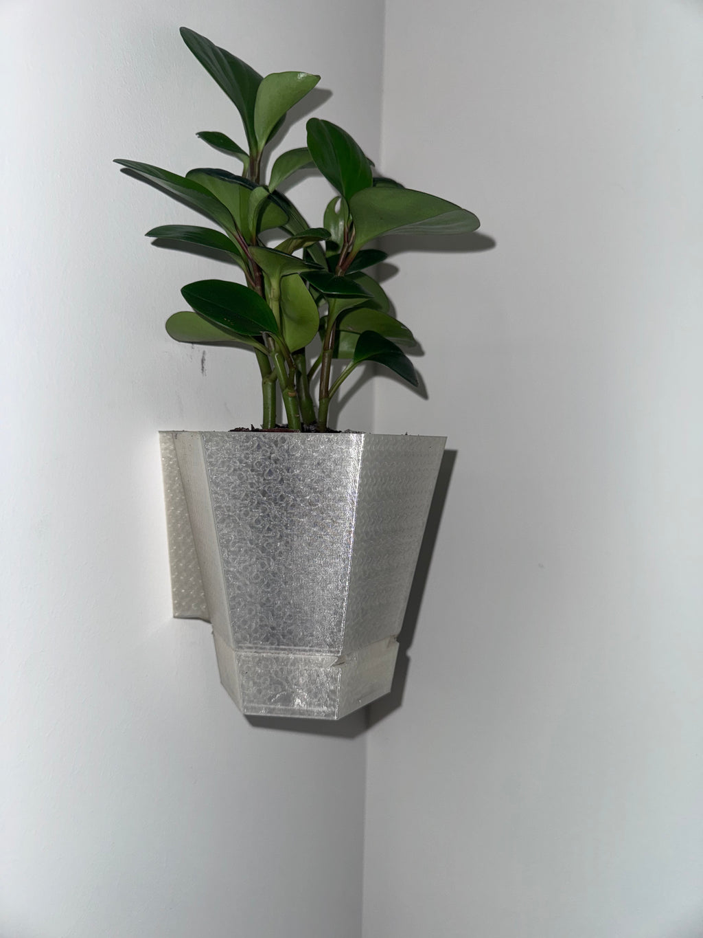 Wall planter