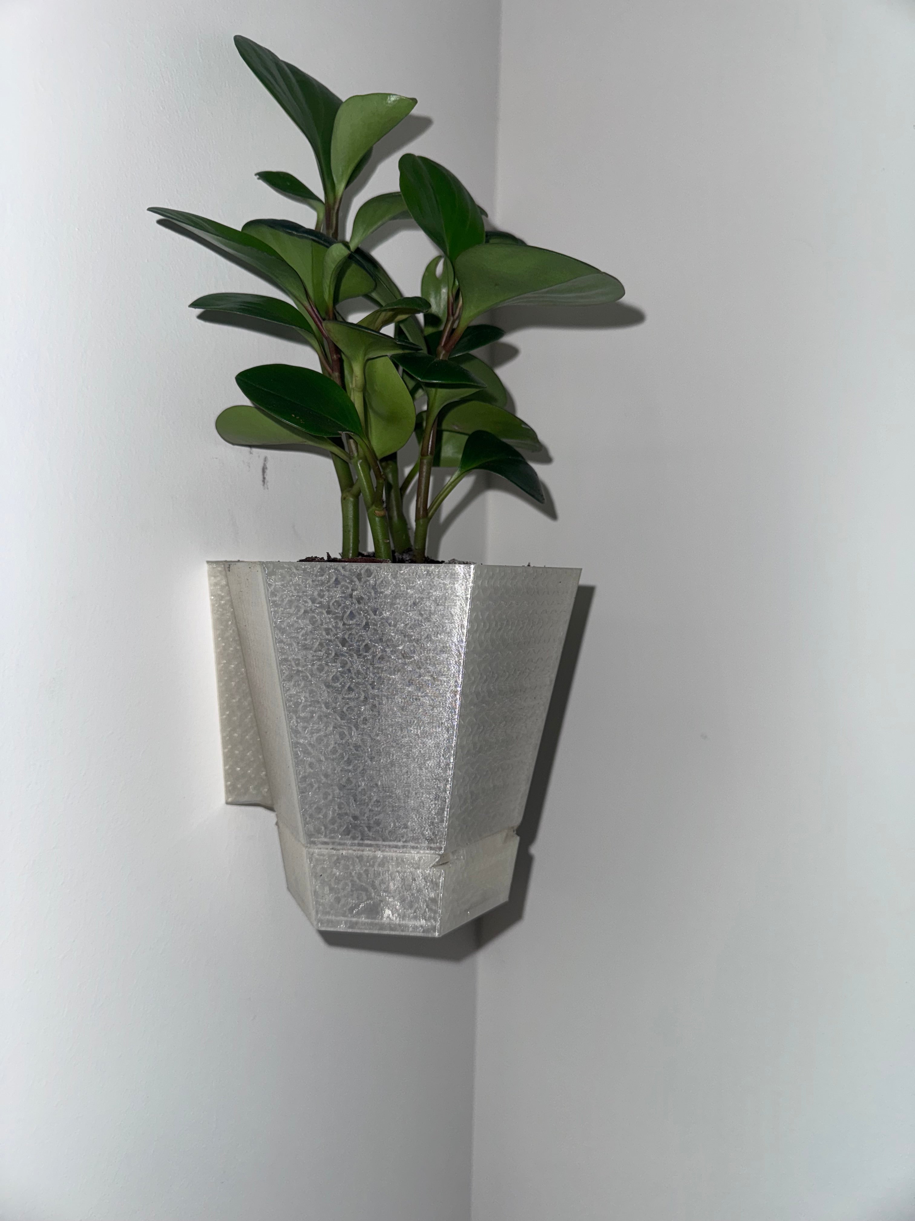 Wall planter