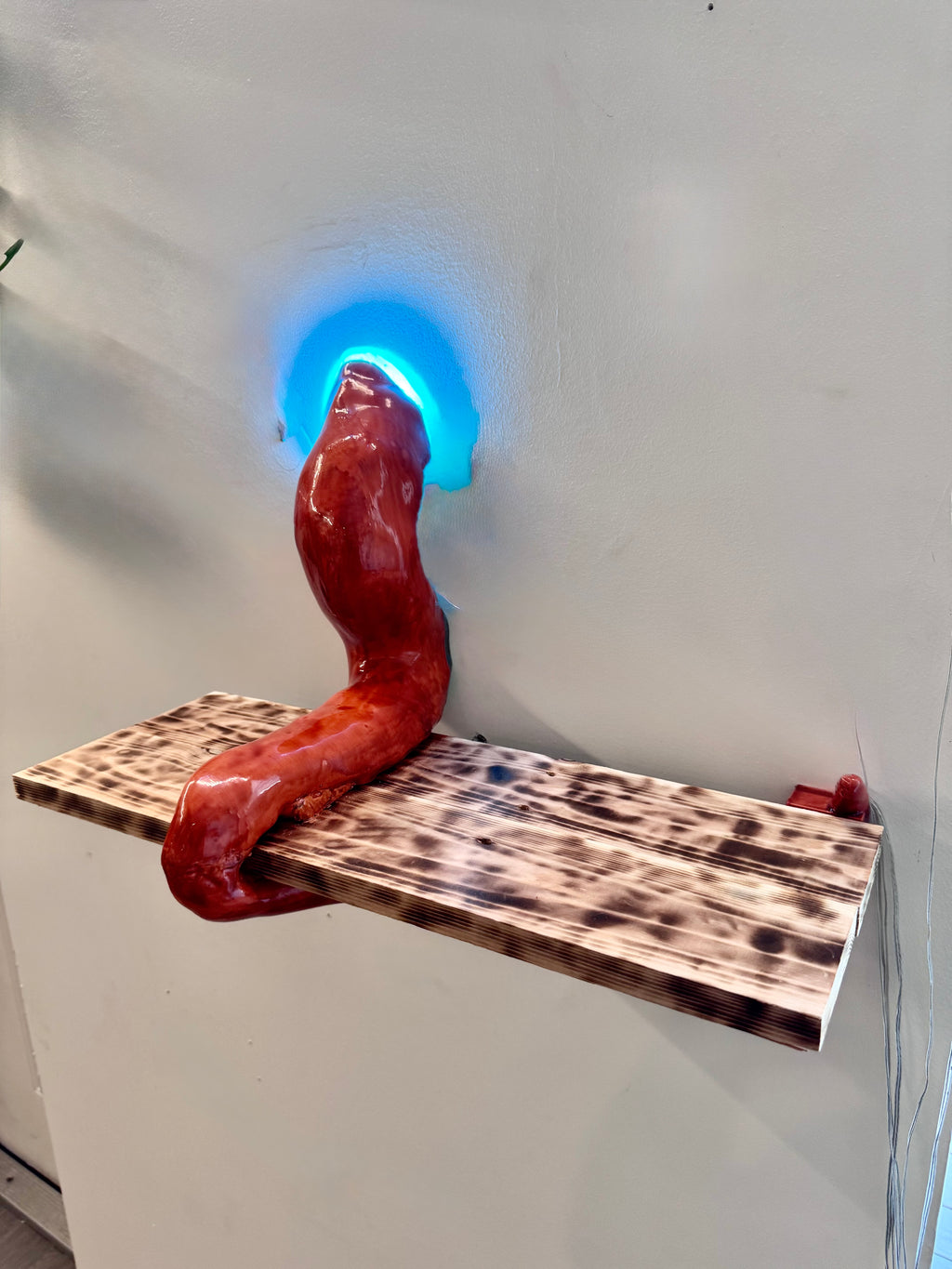 Octopus Tentacle floating shelf