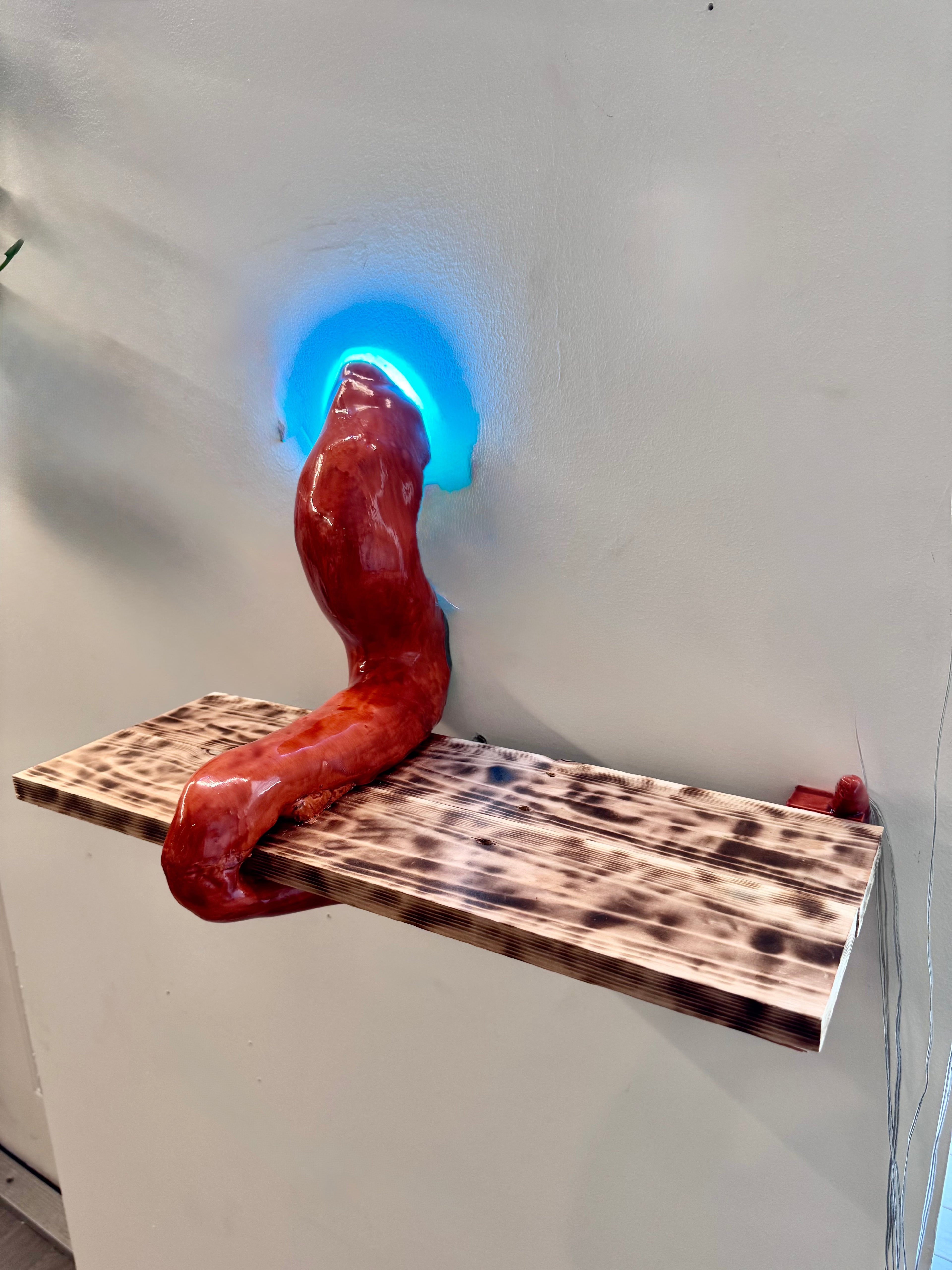 Octopus Tentacle floating shelf
