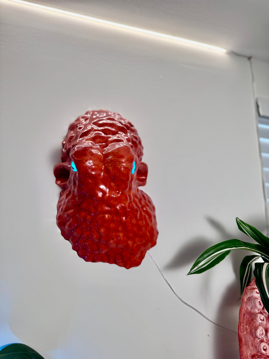 Octopus head