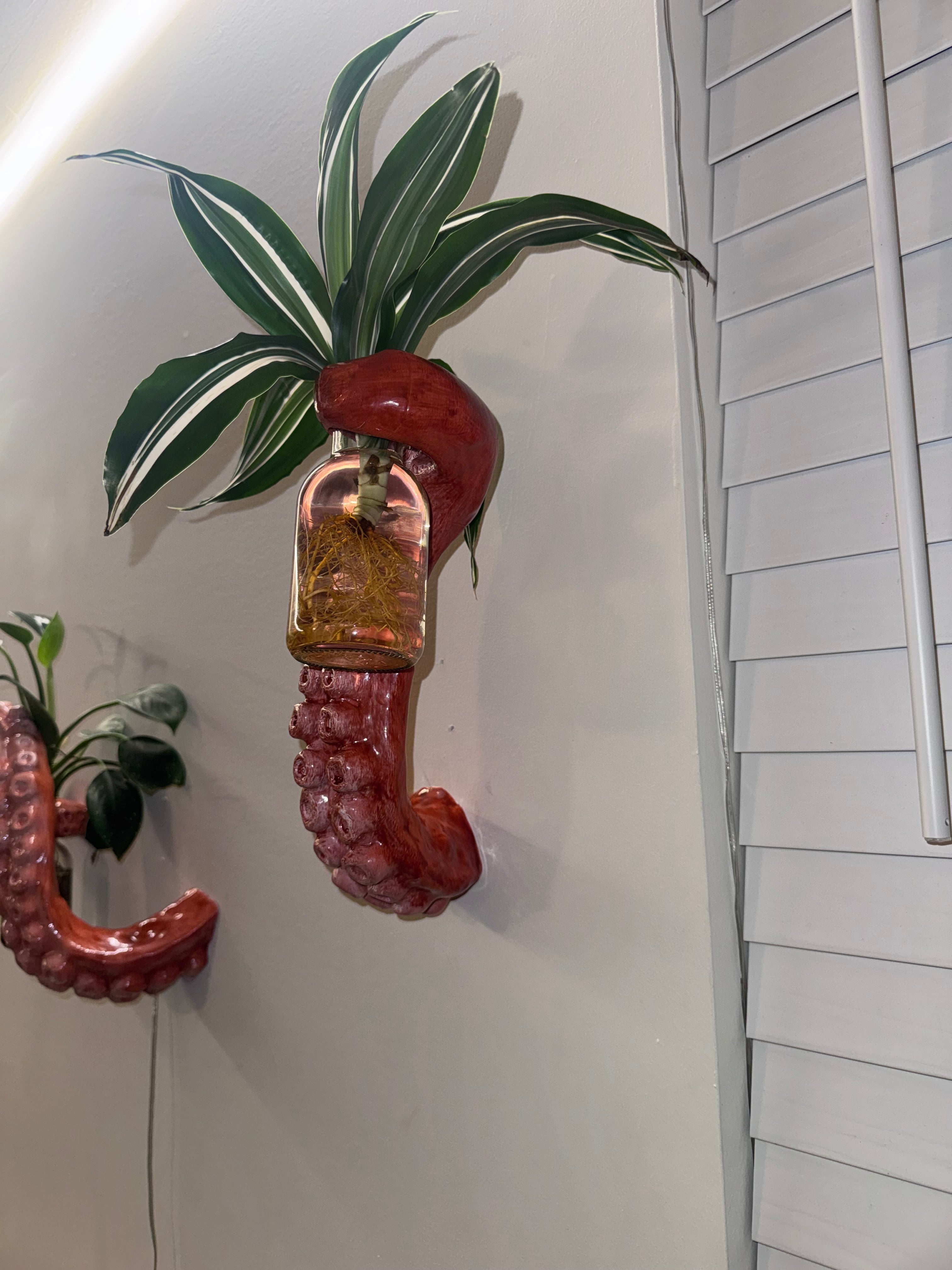 The tentacle 2