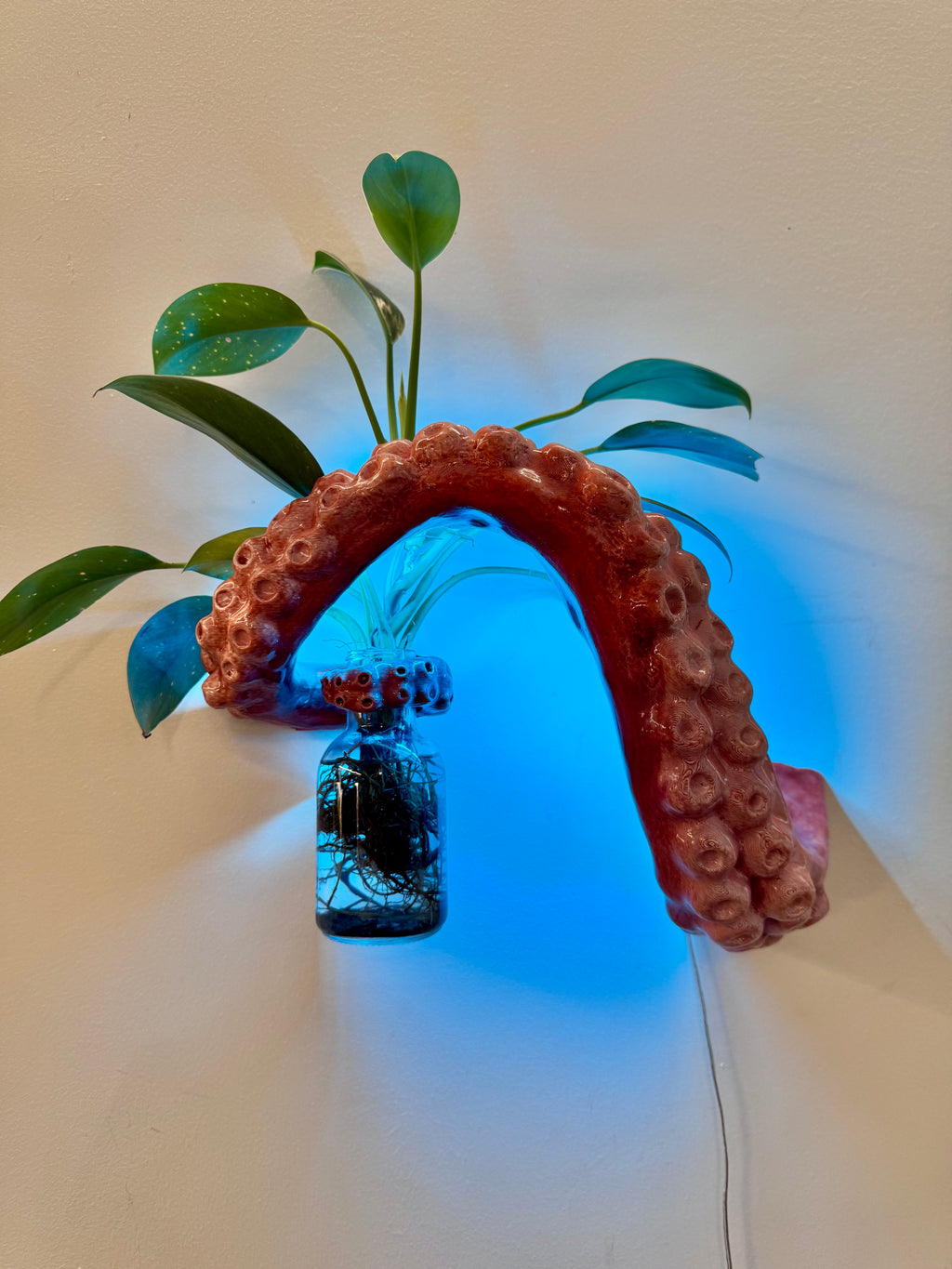 The Tentacle