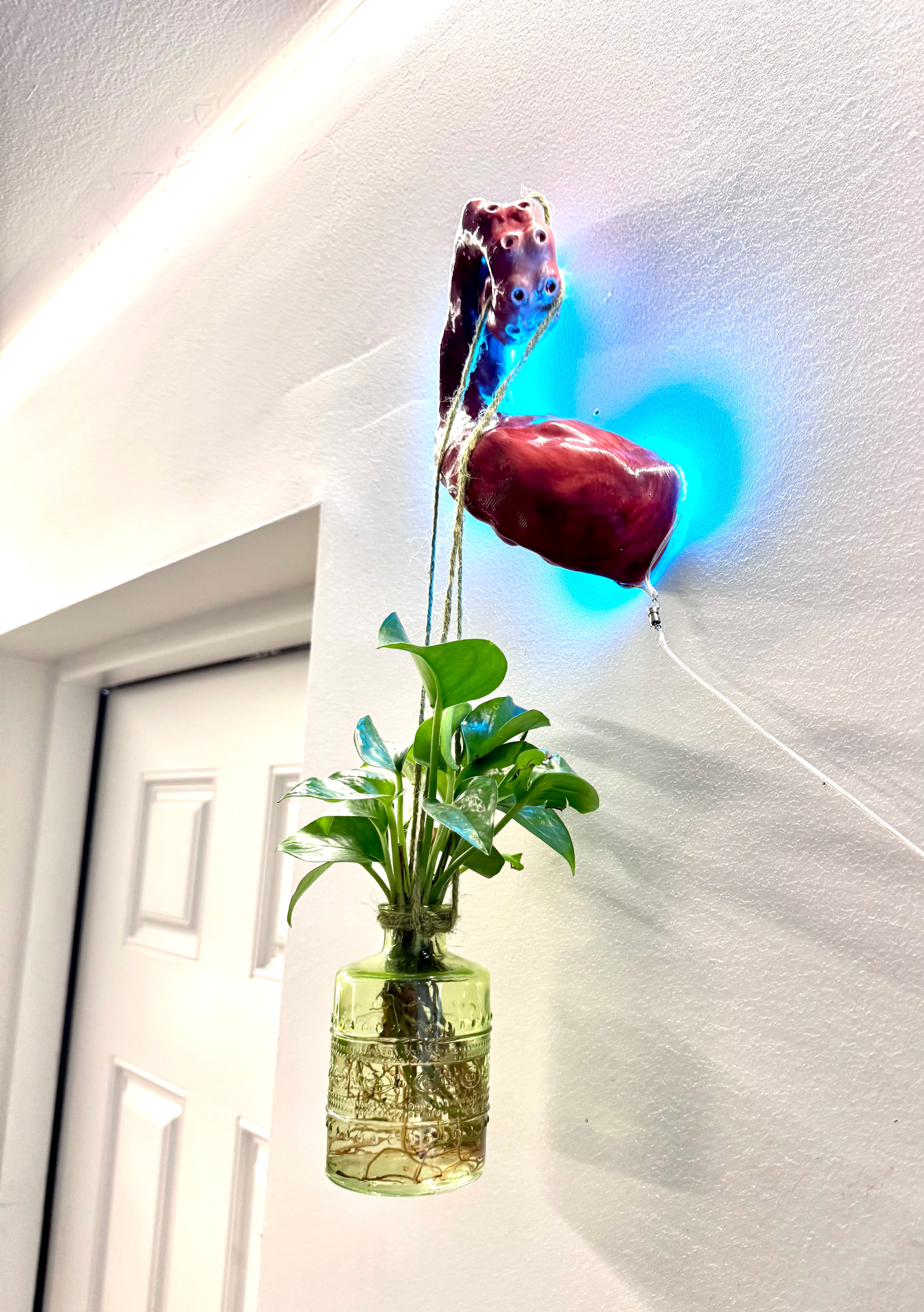 Tentacle3 hanging planter