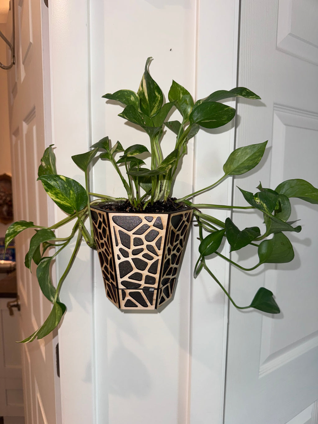 Wall planter