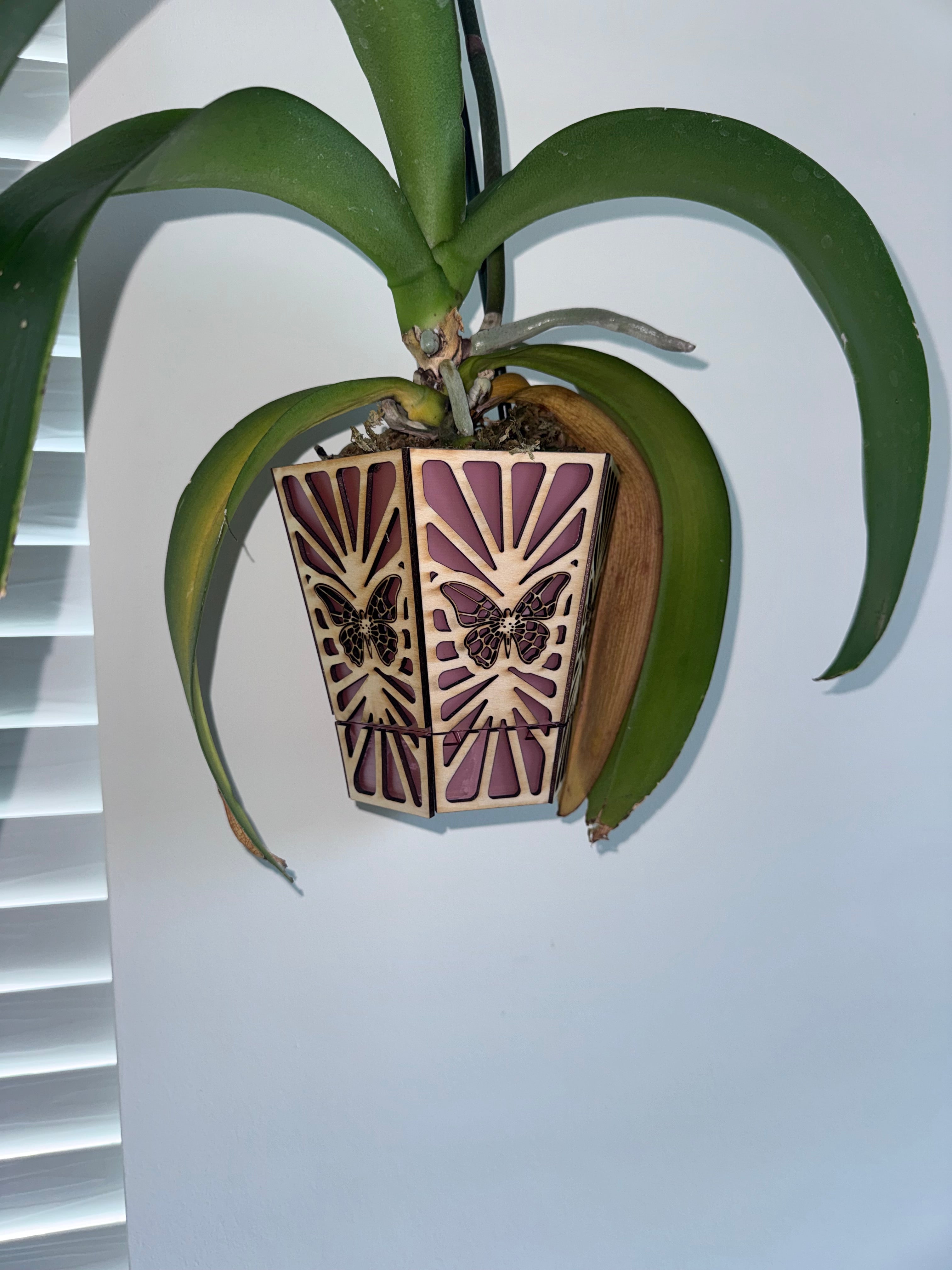 Wall planter