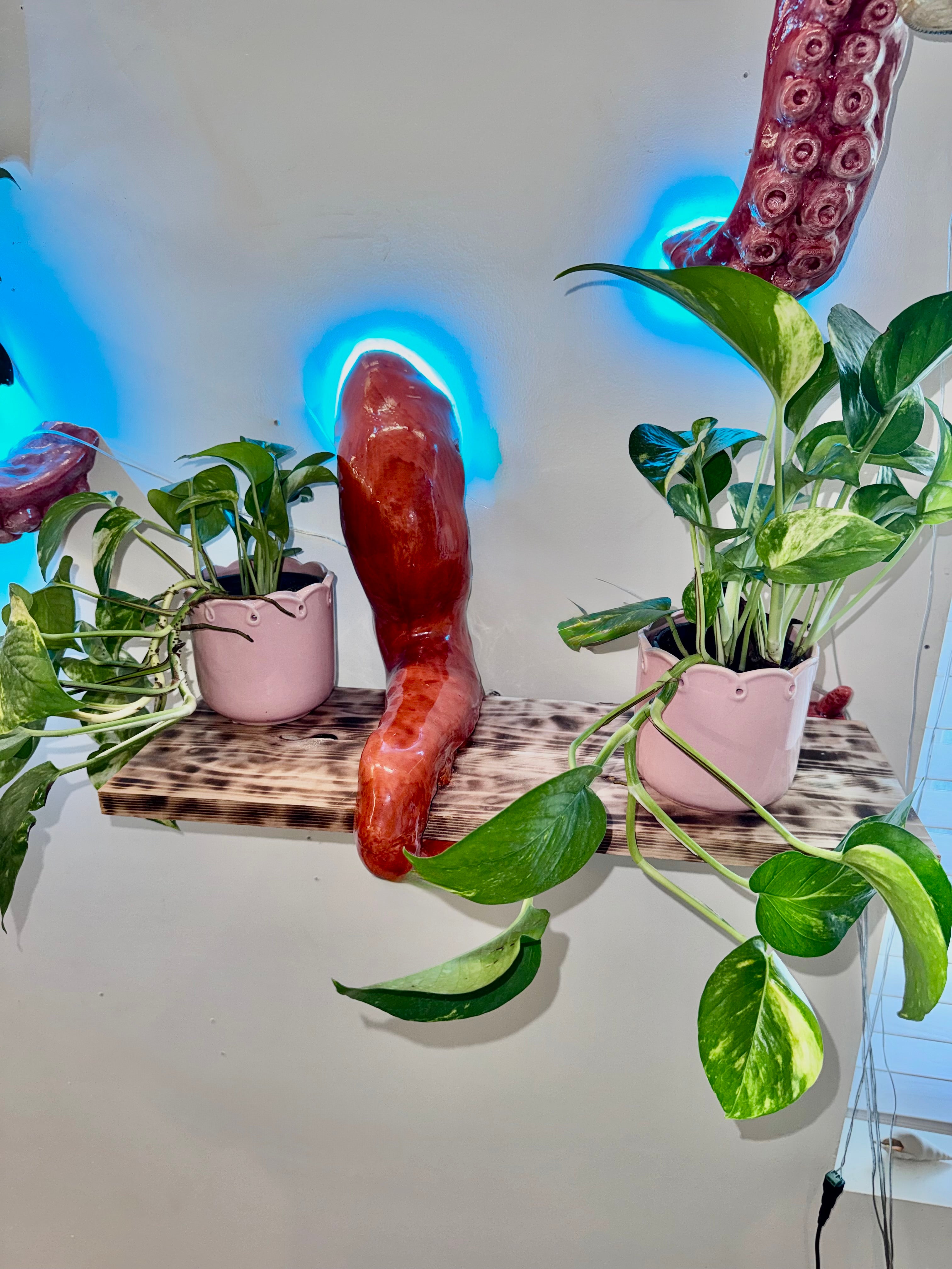 Octopus Tentacle floating shelf