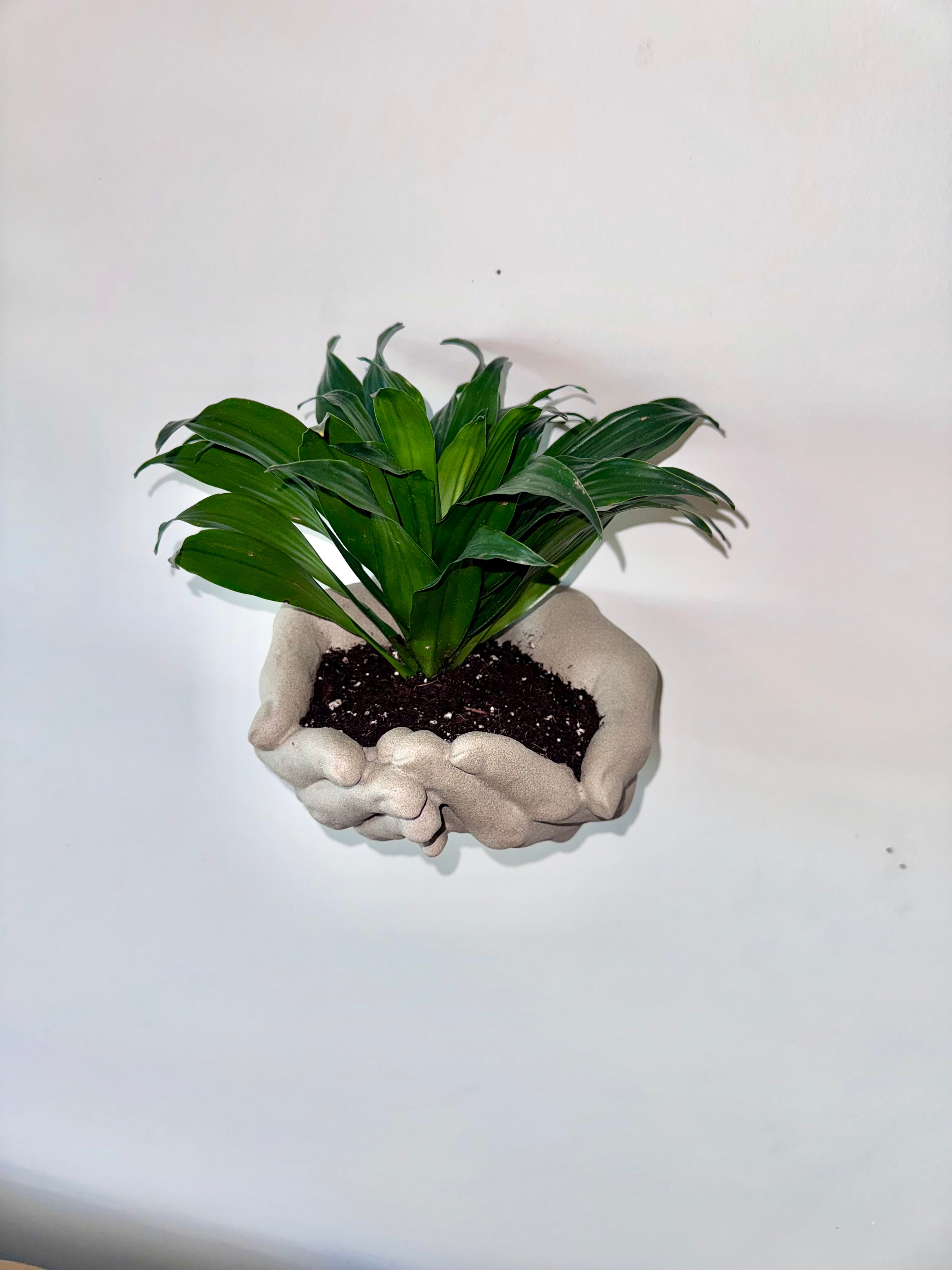 Two hand wall planter