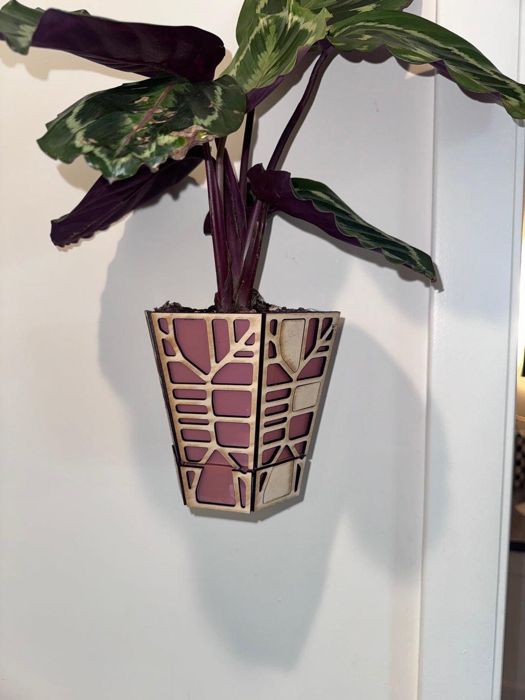 Wall planter