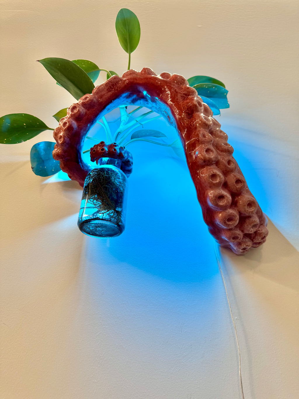 The Tentacle