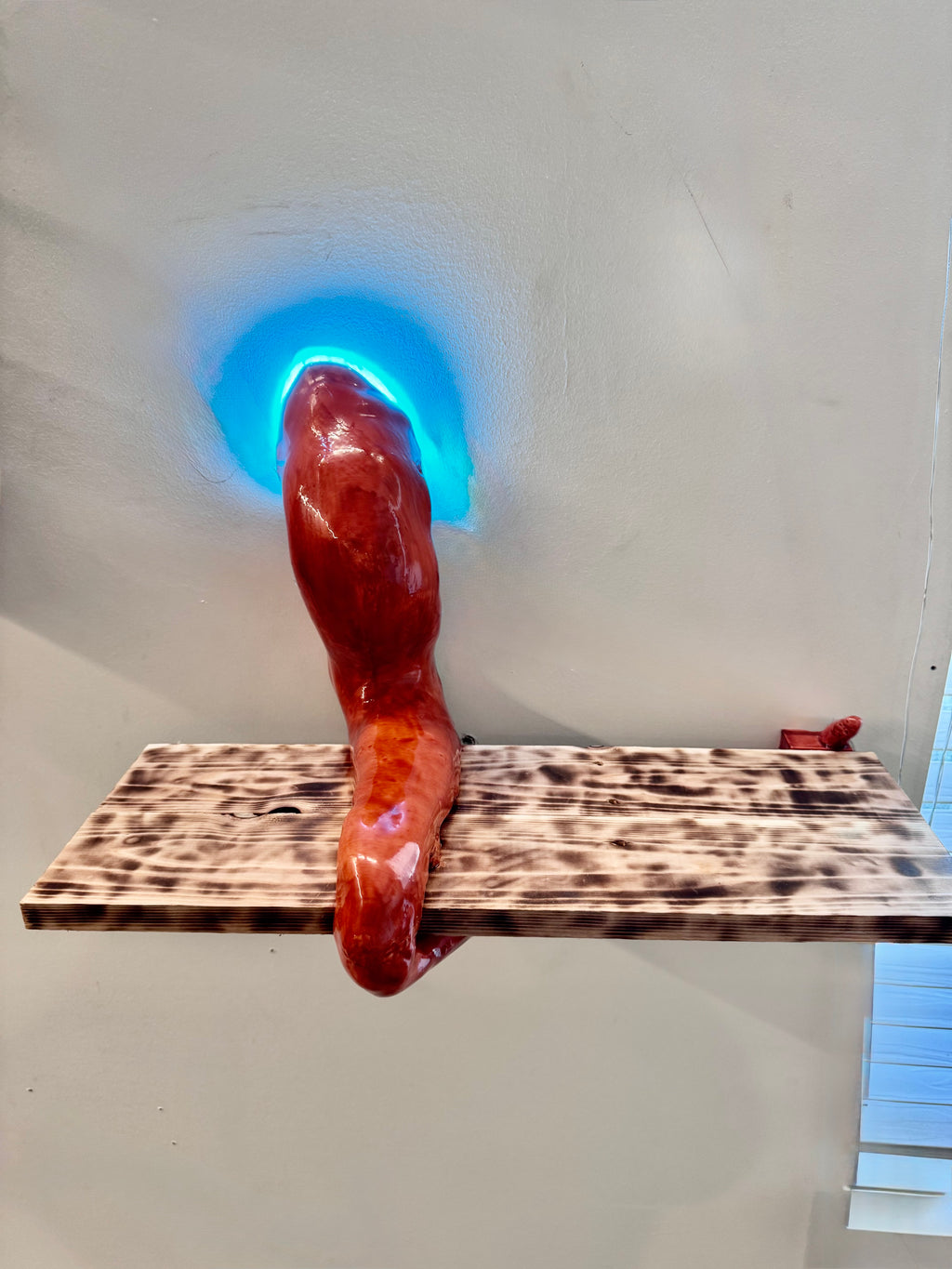 Octopus Tentacle floating shelf