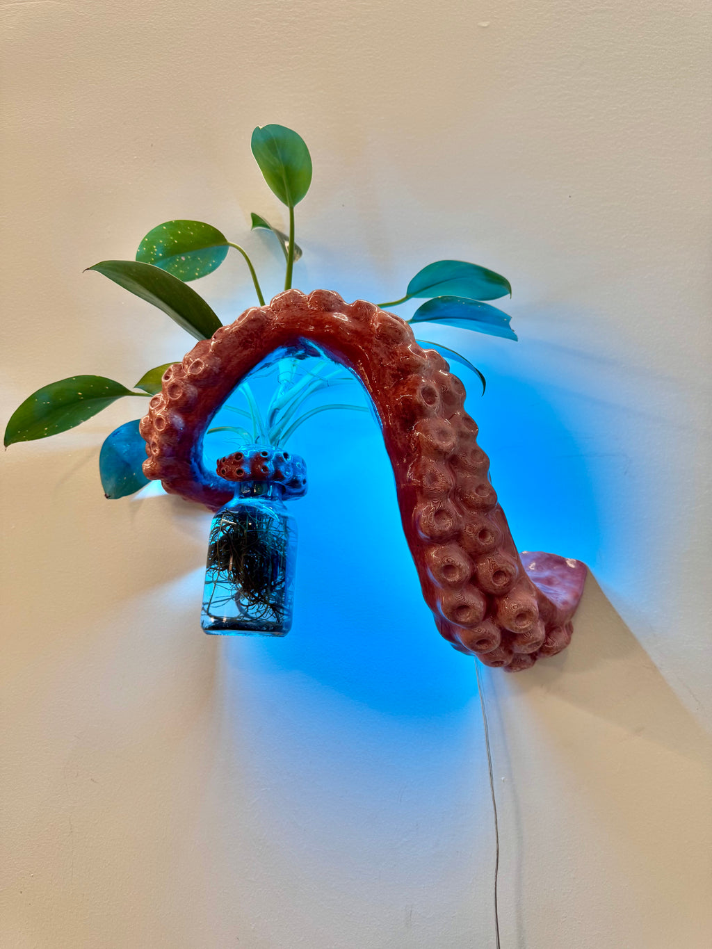 The Tentacle