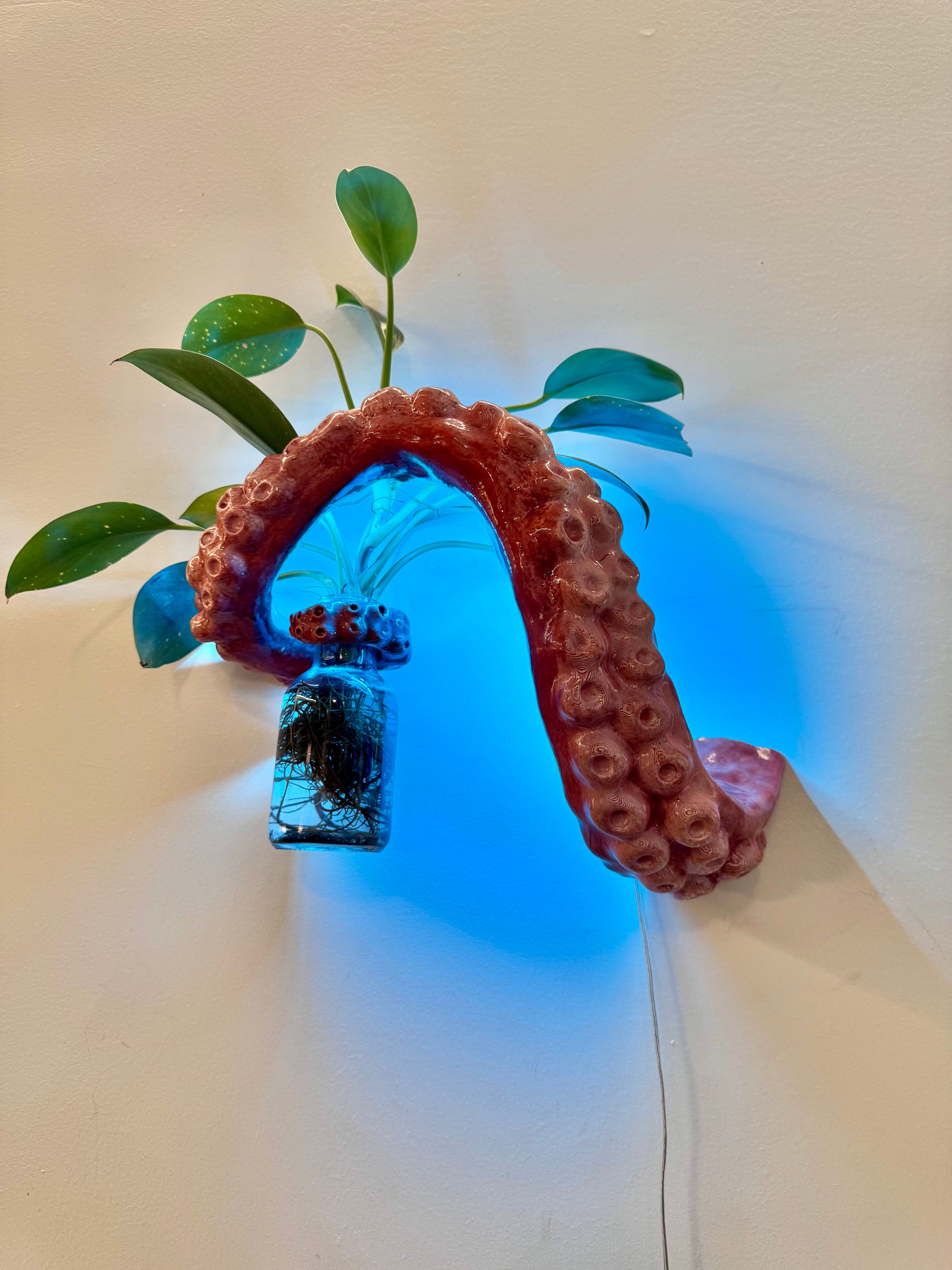 The Tentacle