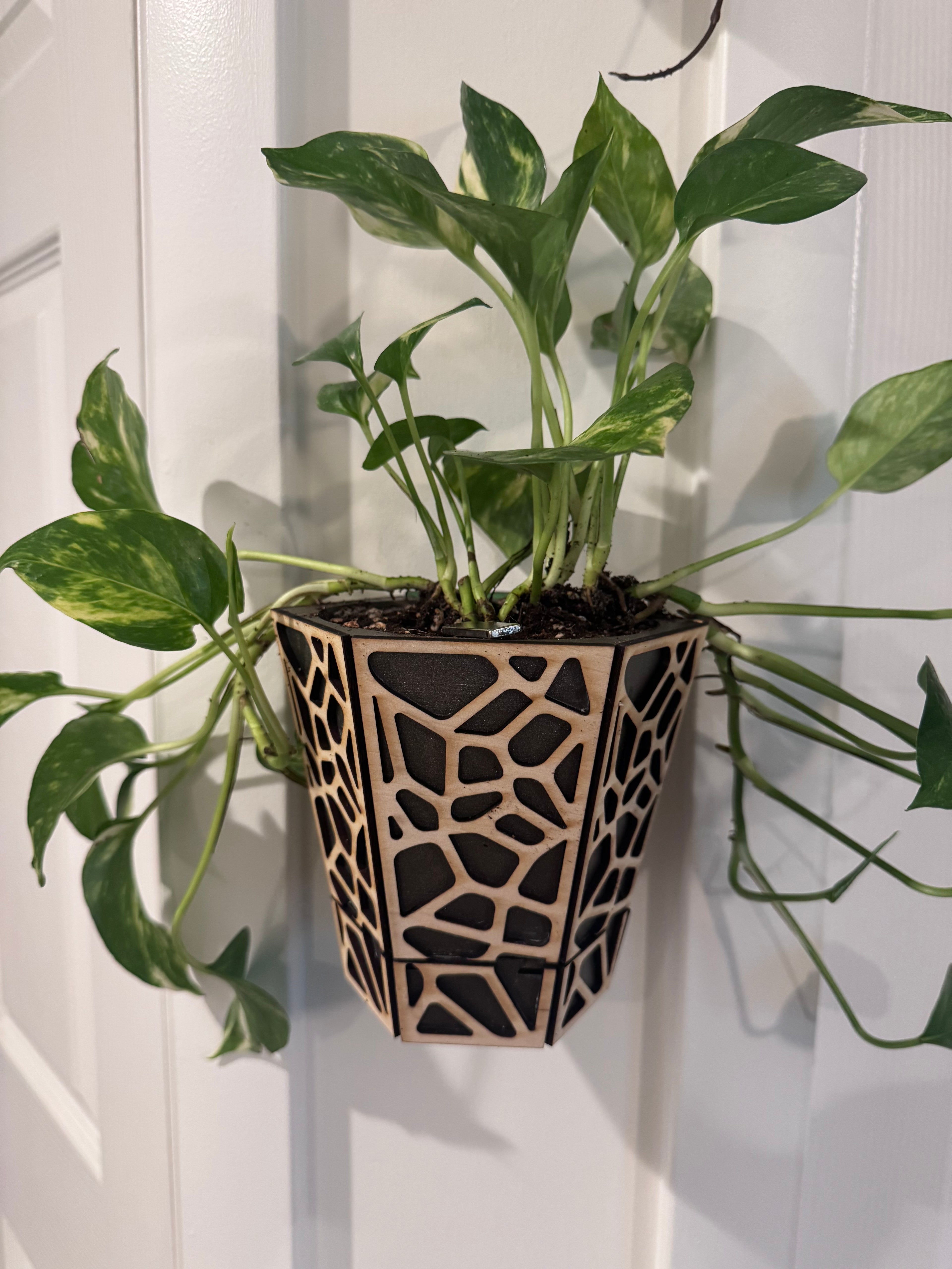 Wall planter