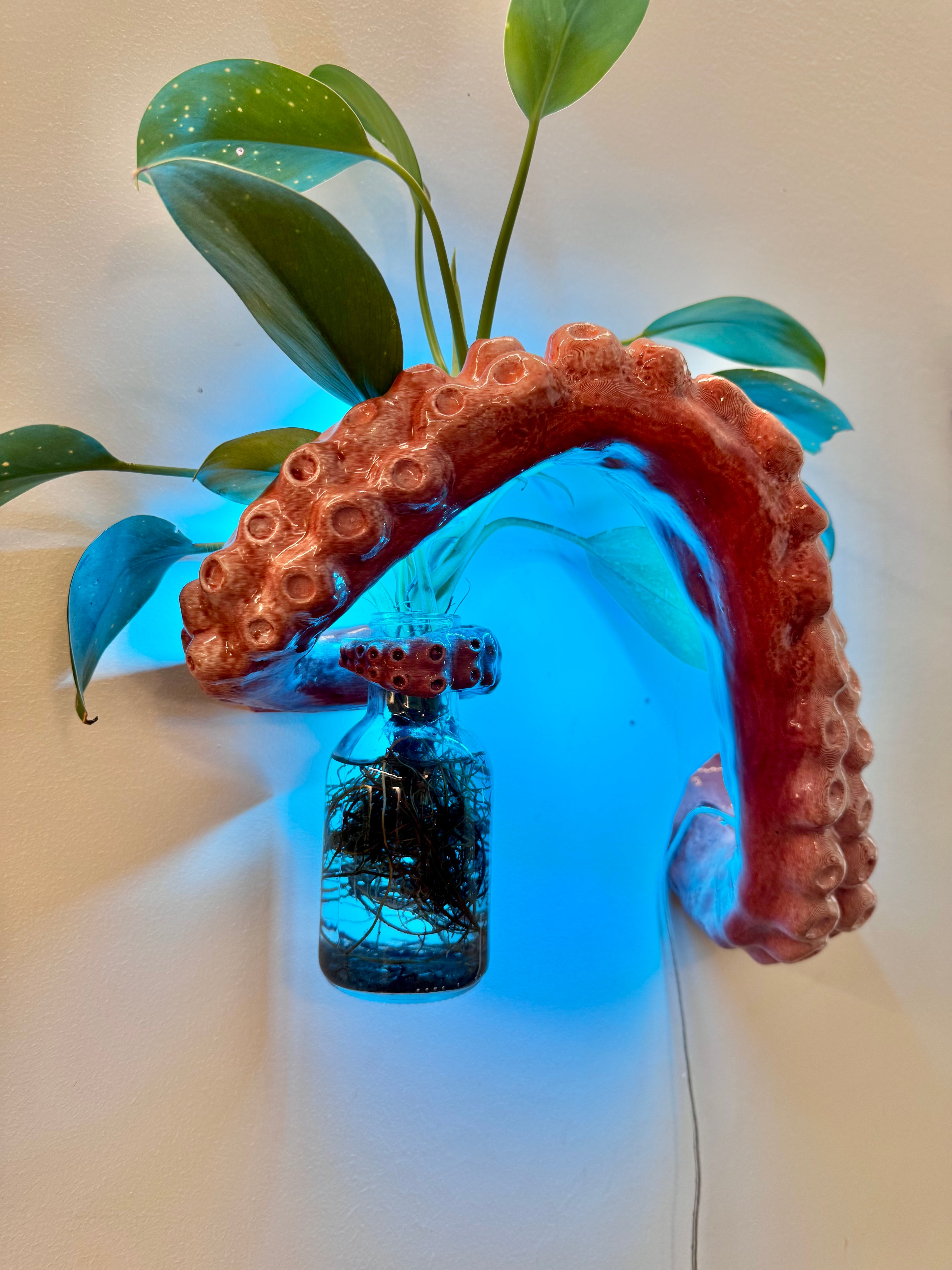 The Tentacle