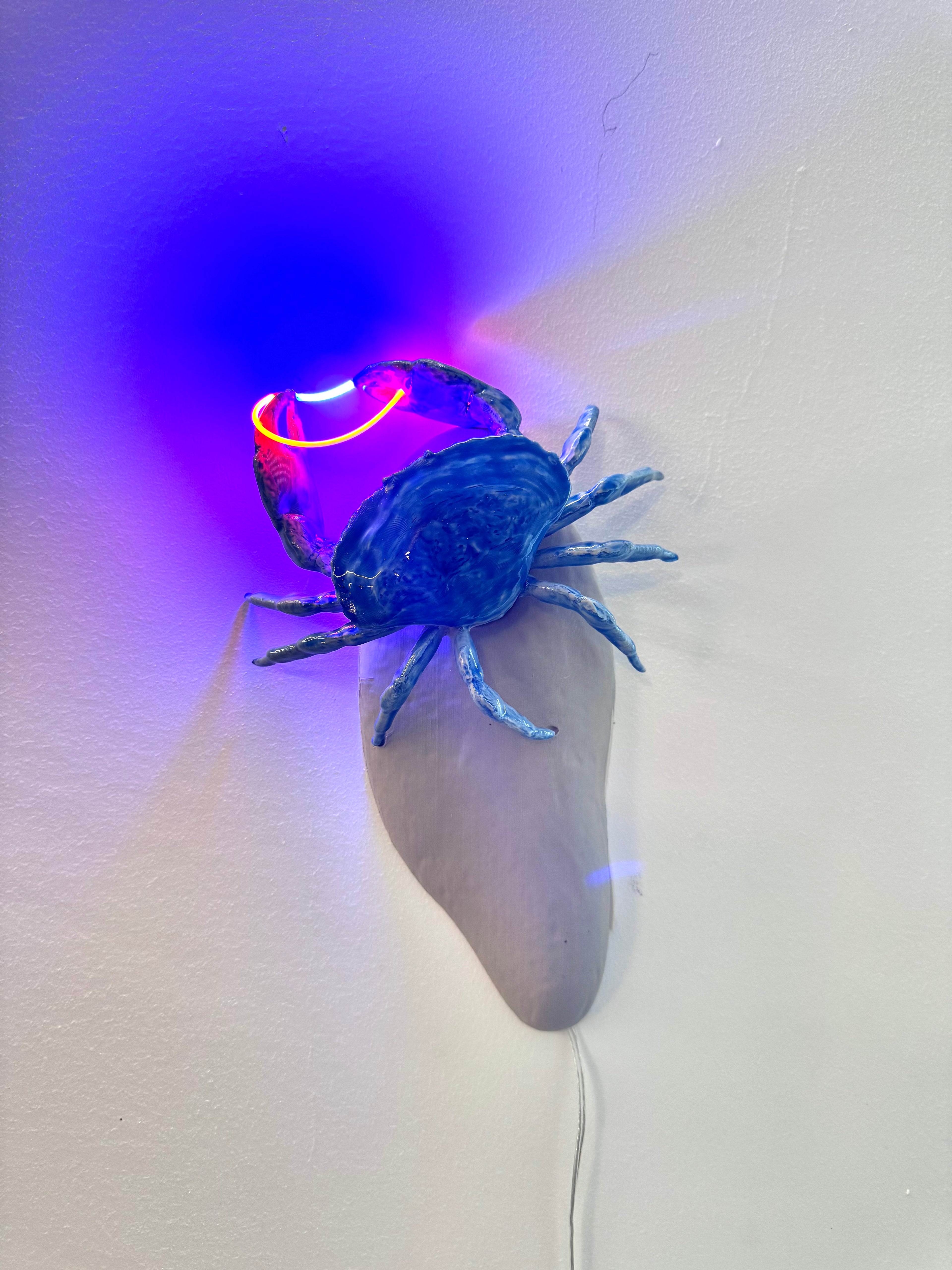 Blue crab light 