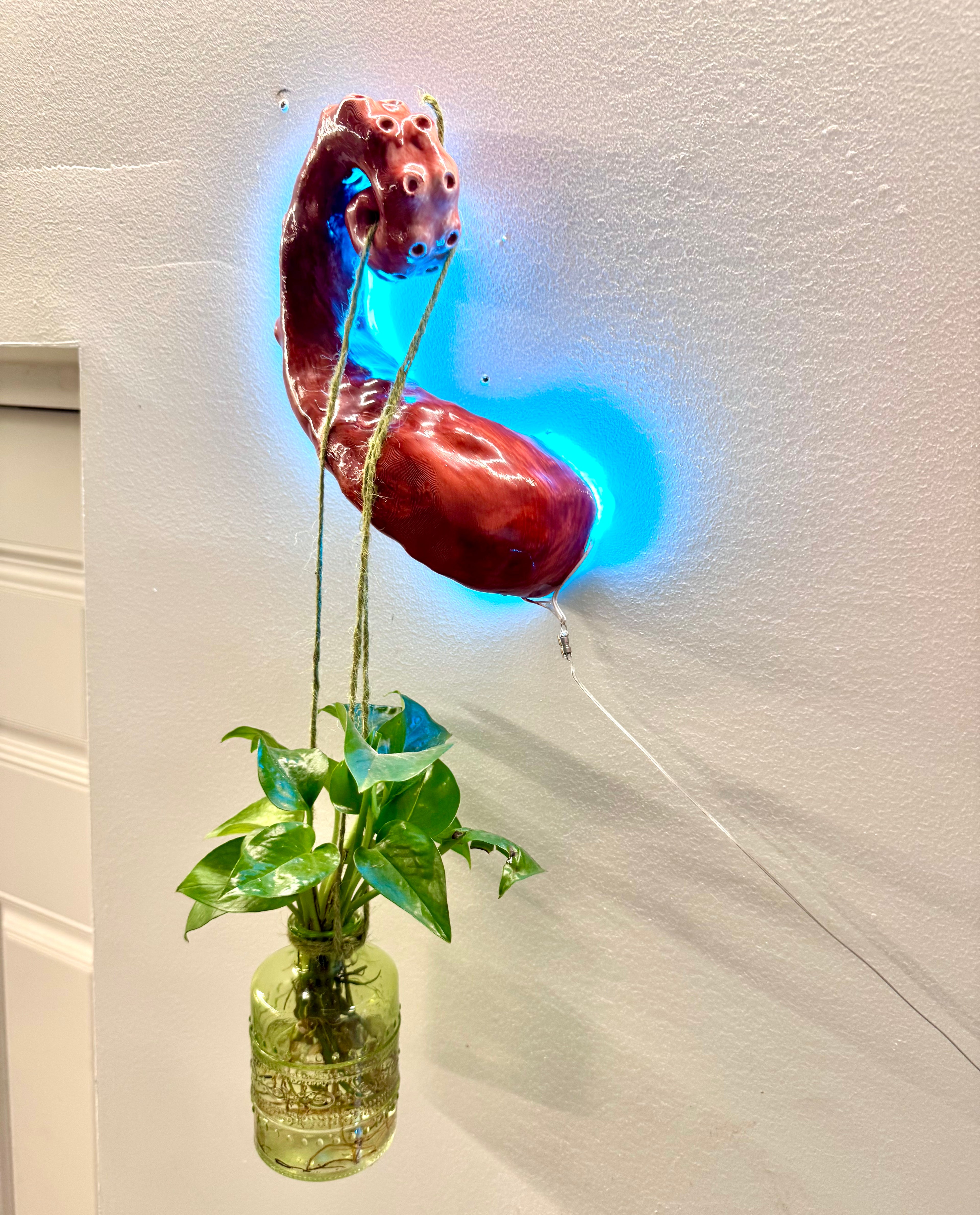 Tentacle3 hanging planter