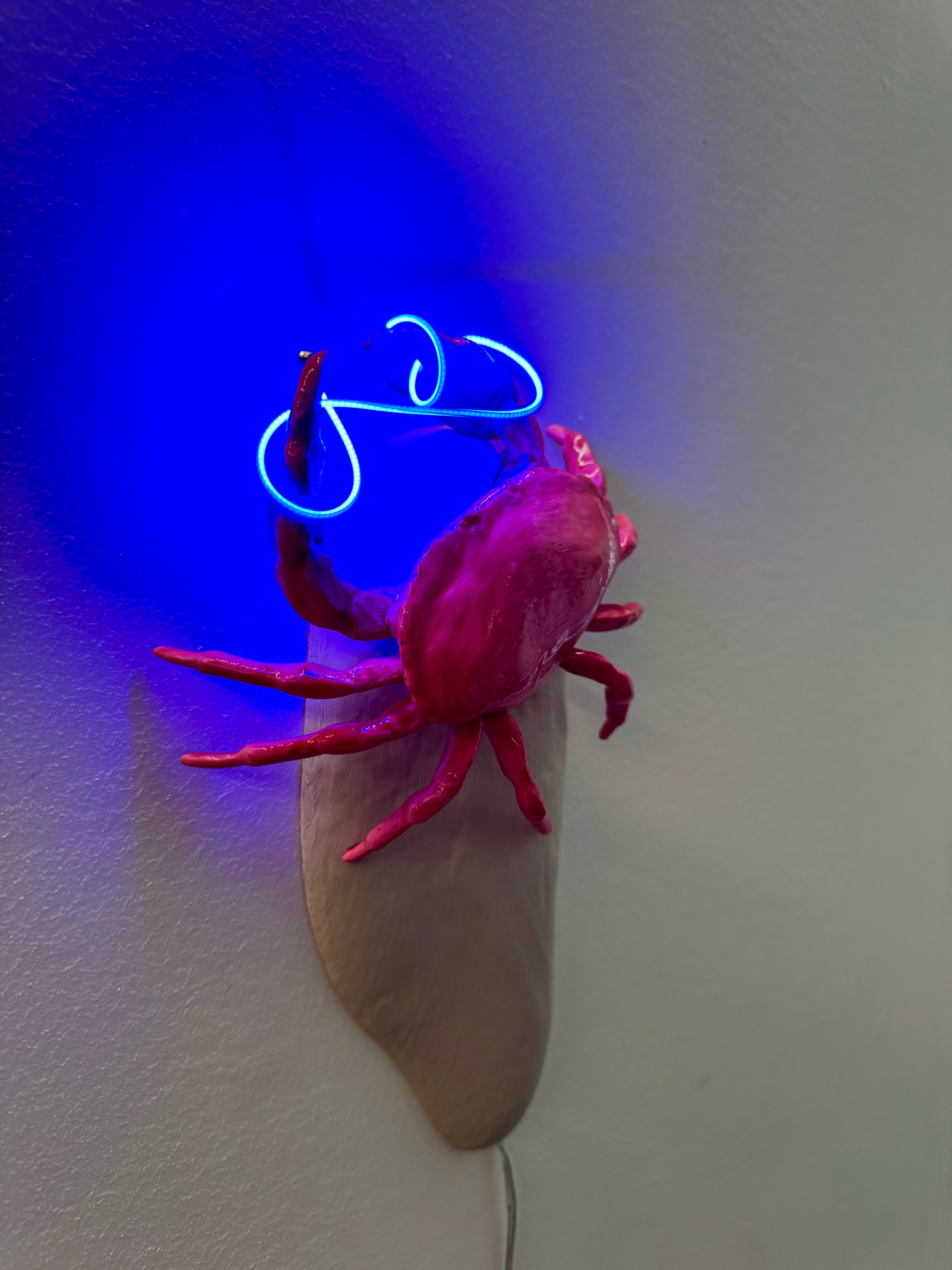 Crab Light