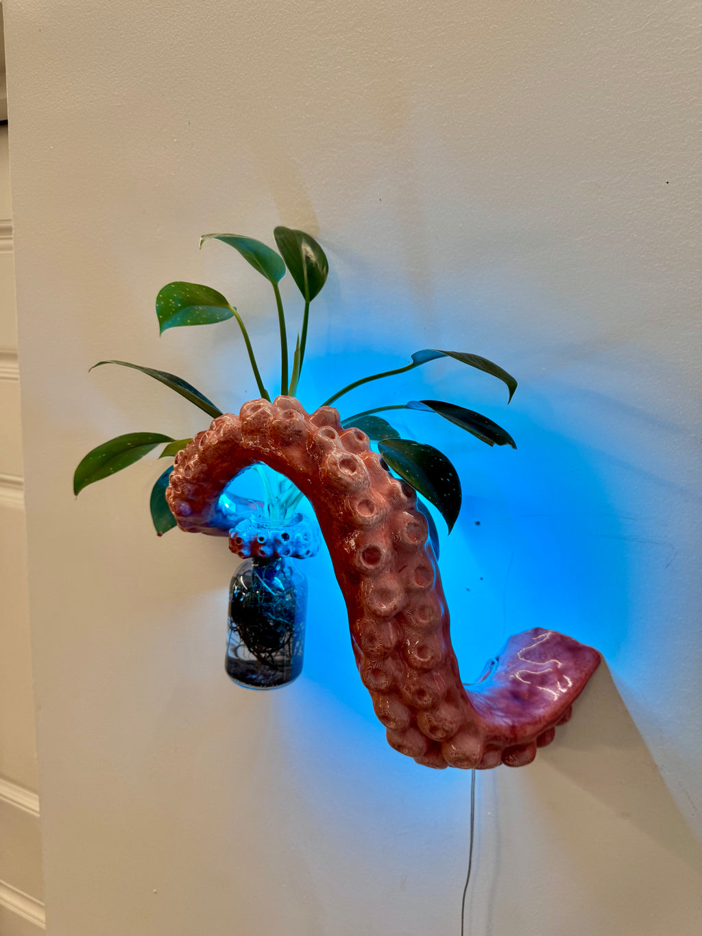The Tentacle