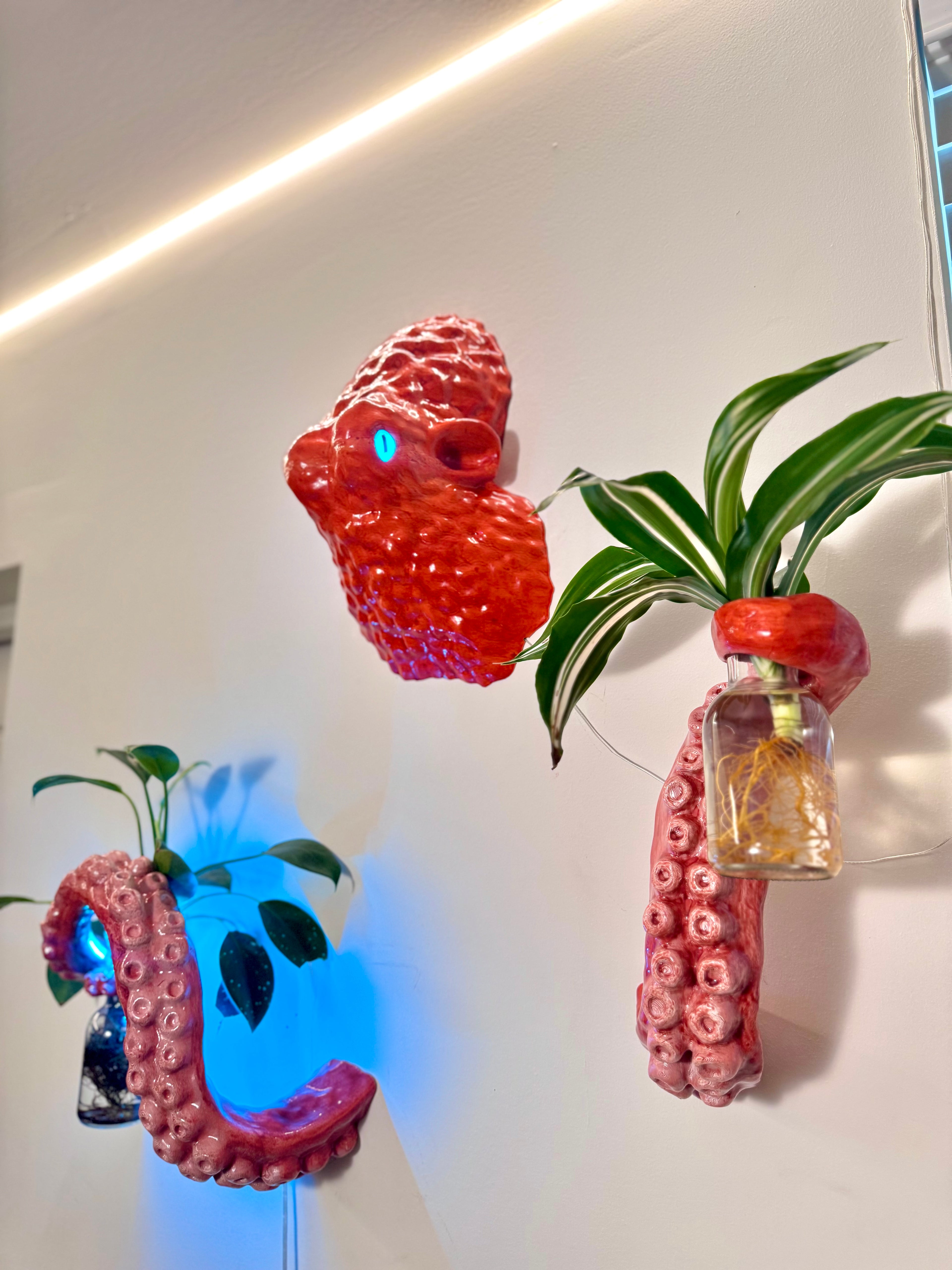The octopus planter full set