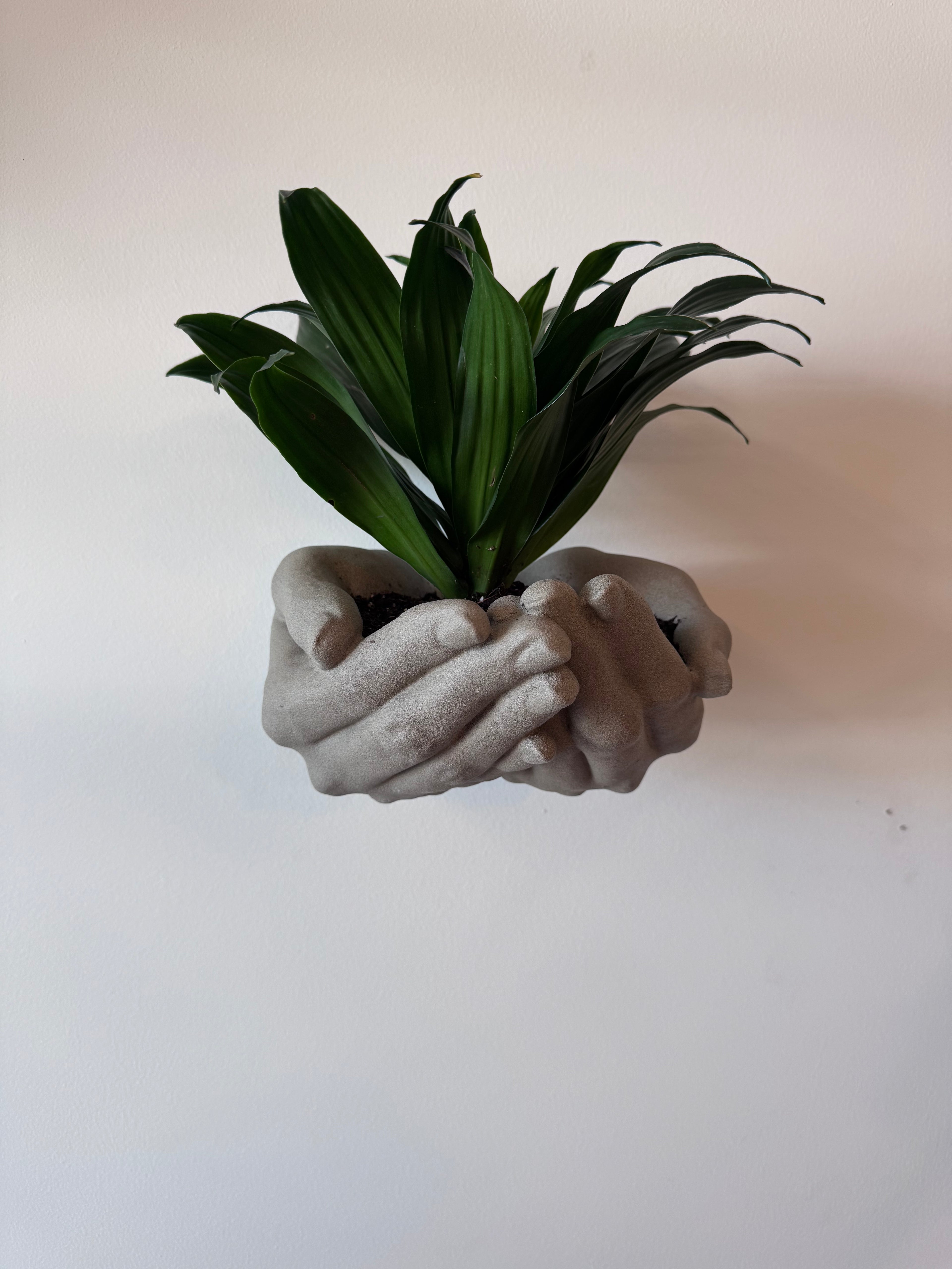Two hand wall planter