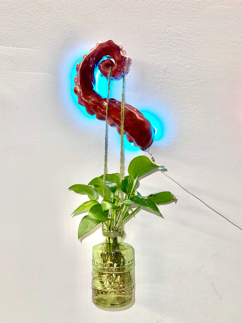 Tentacle3 hanging planter