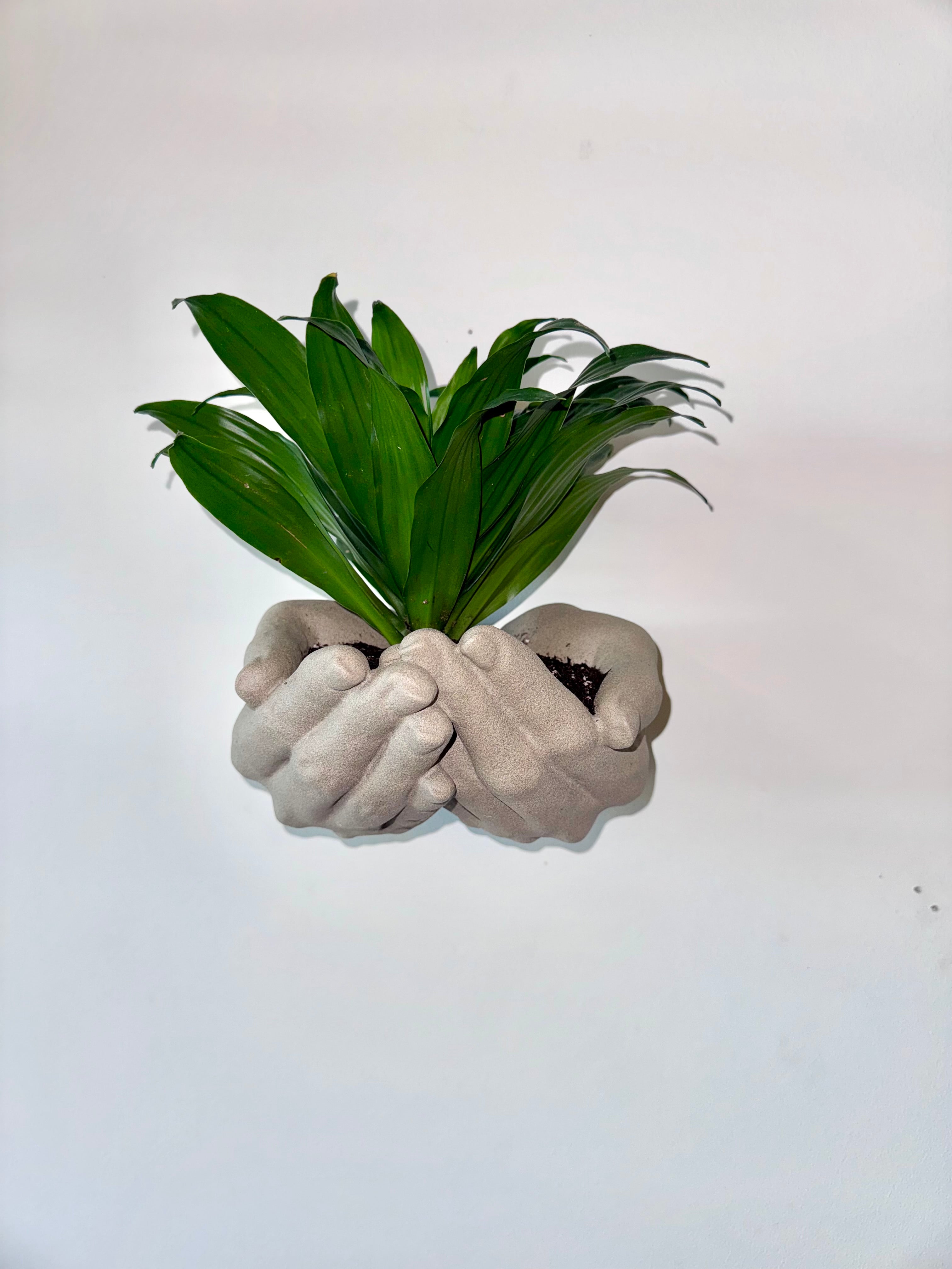 Two hand wall planter