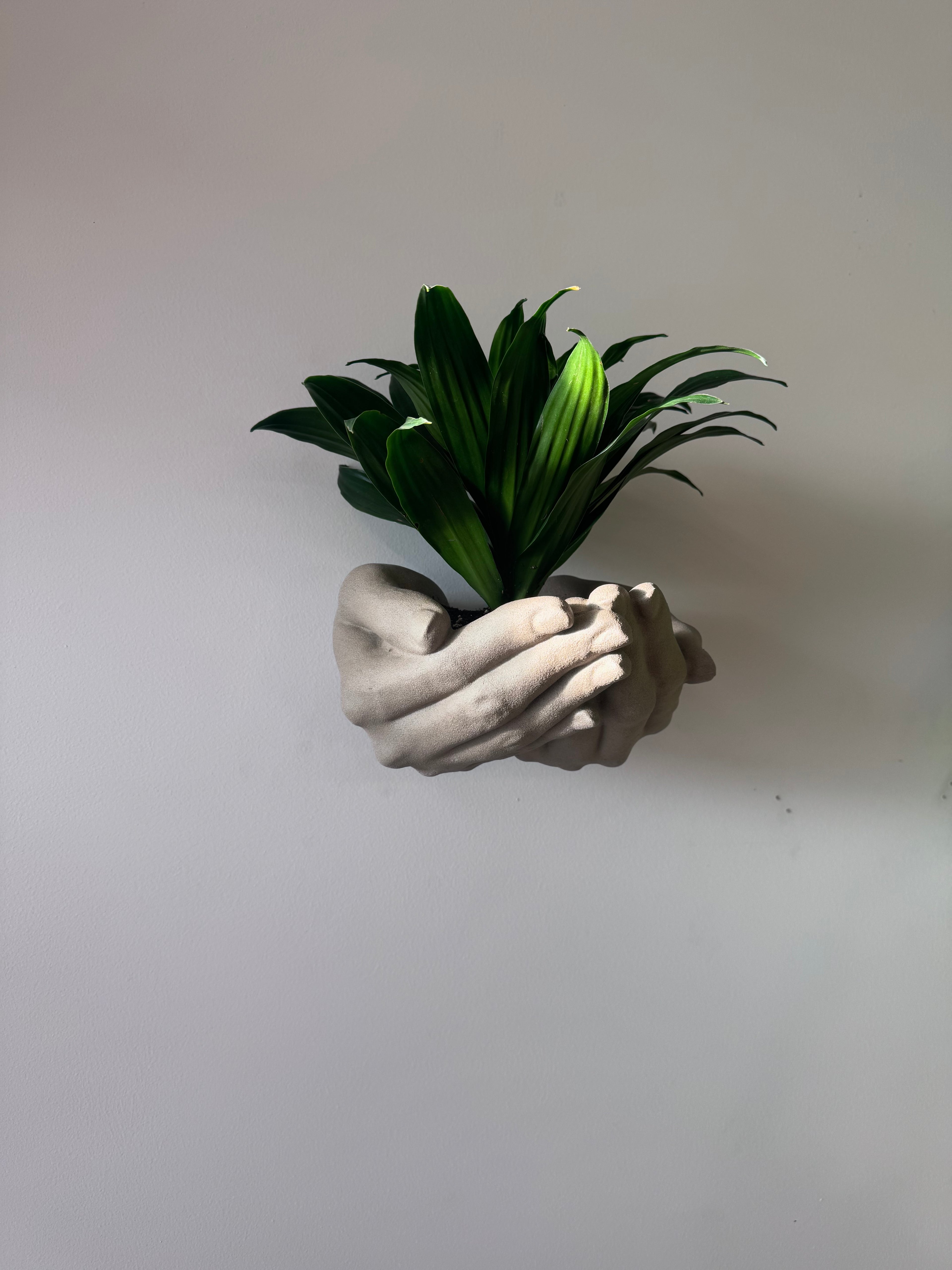 Two hand wall planter