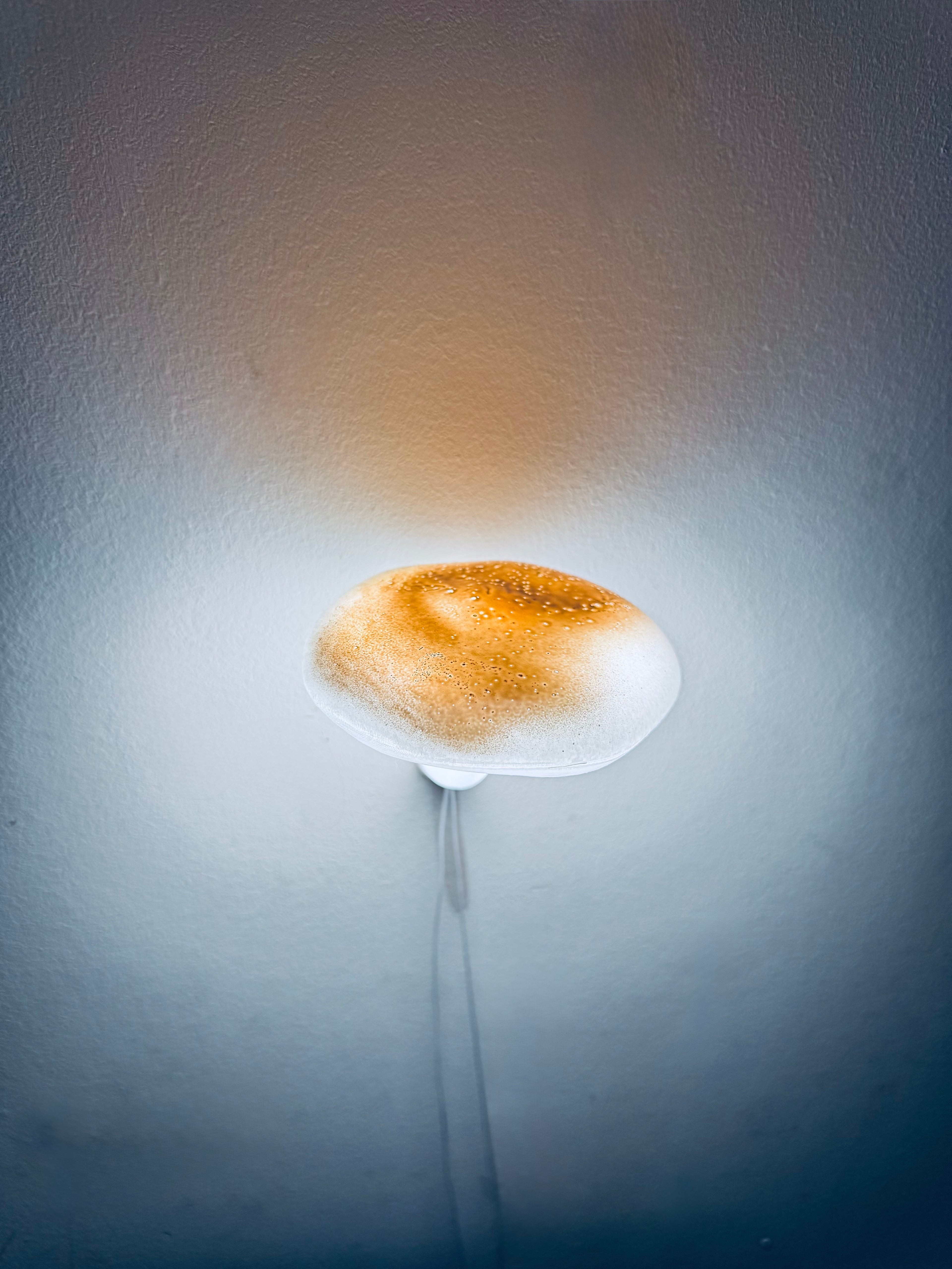 Mushroom lamp