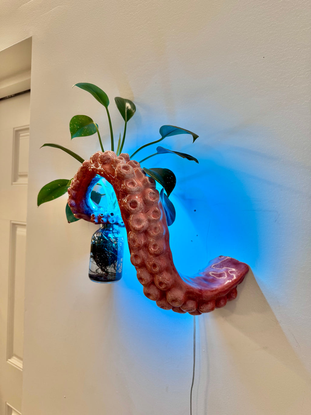 The Tentacle