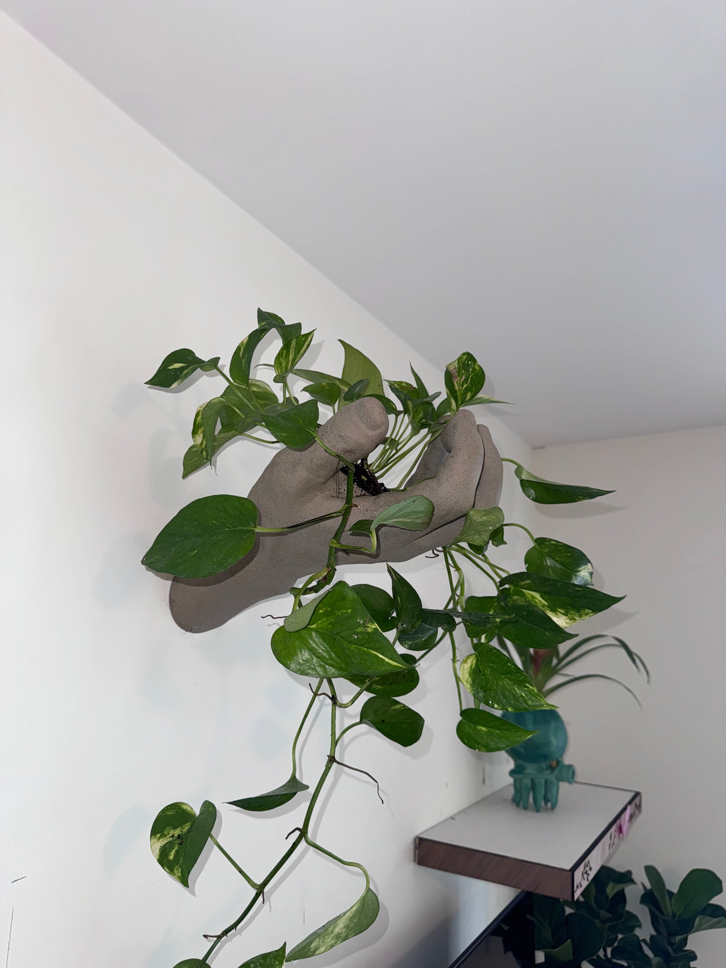 Hand Planter