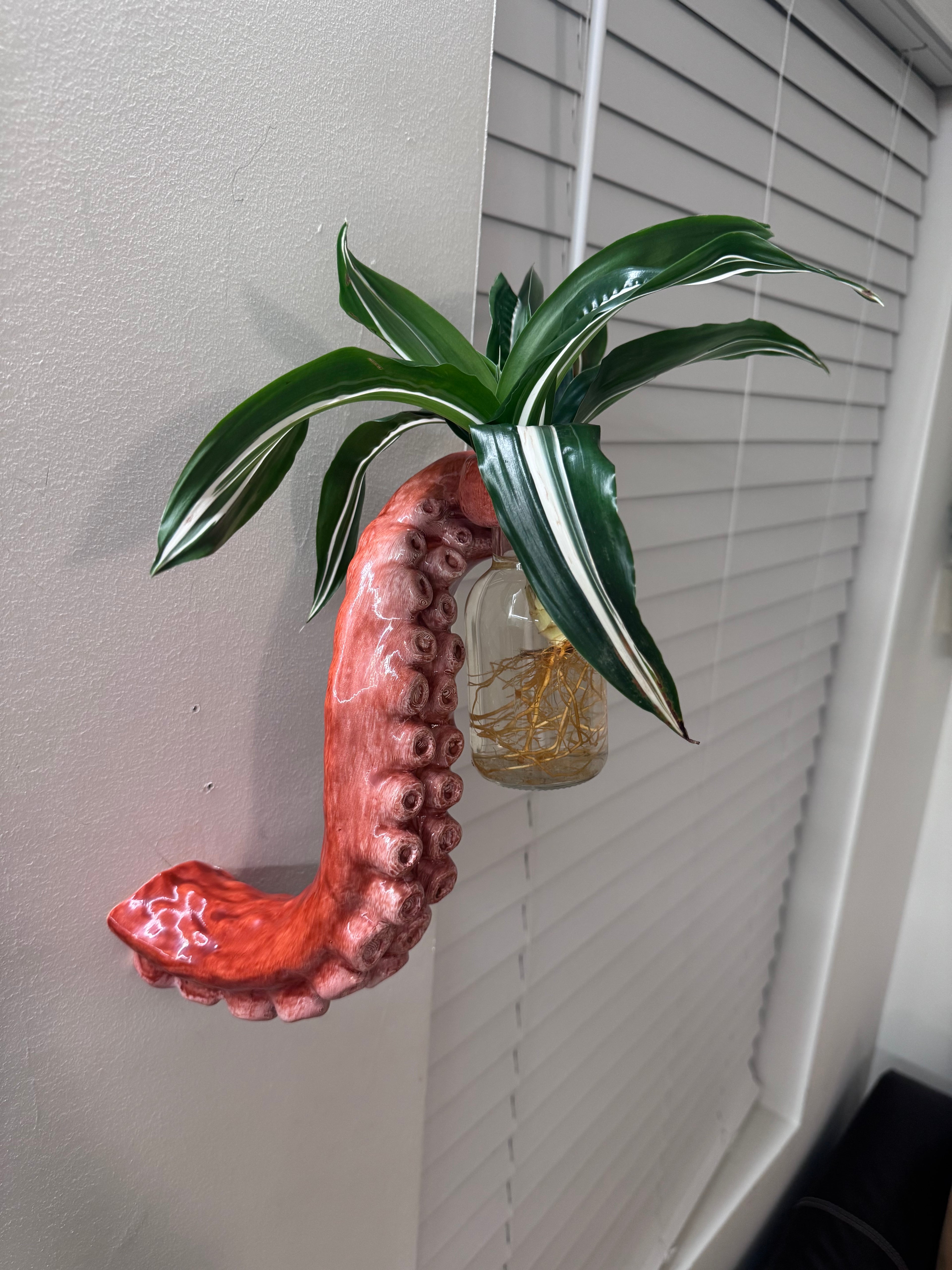 Decorative octopus tentacle with a plant on a white wall