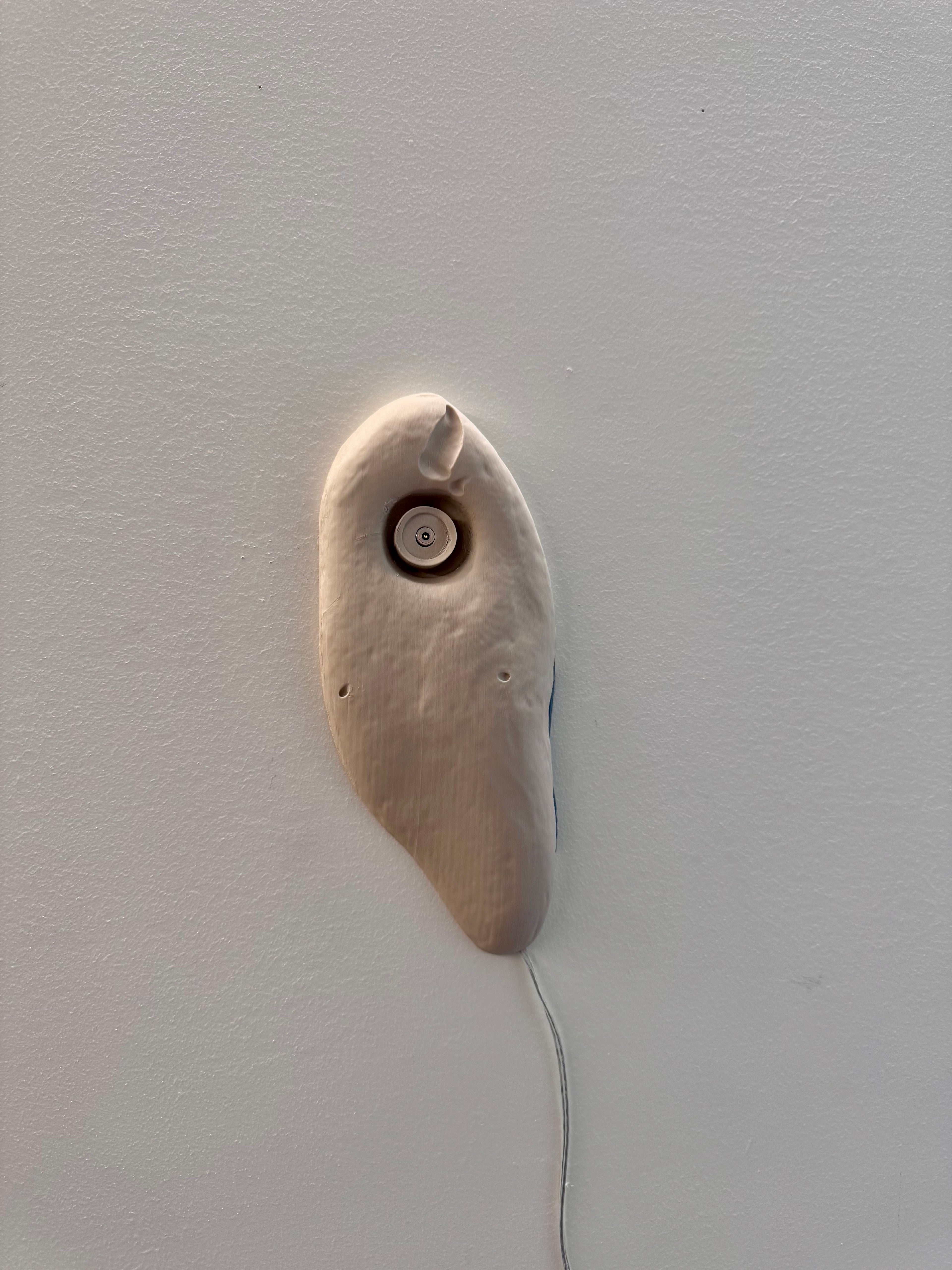 Crab Light