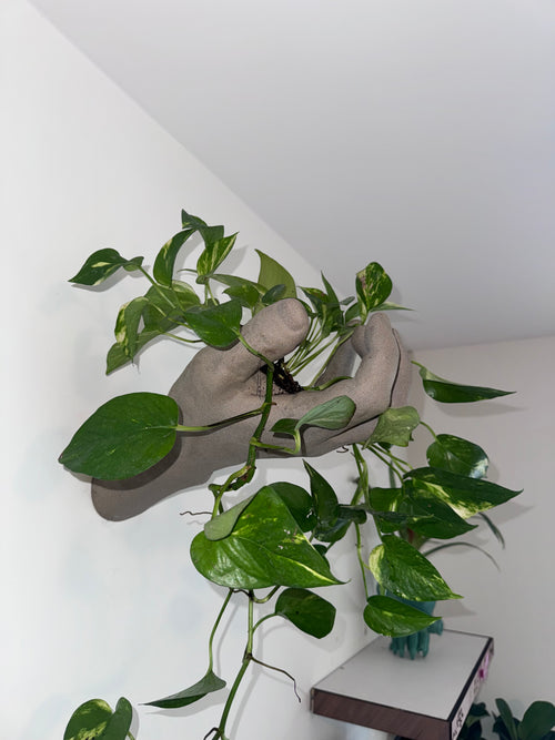 Stone hand planter 
