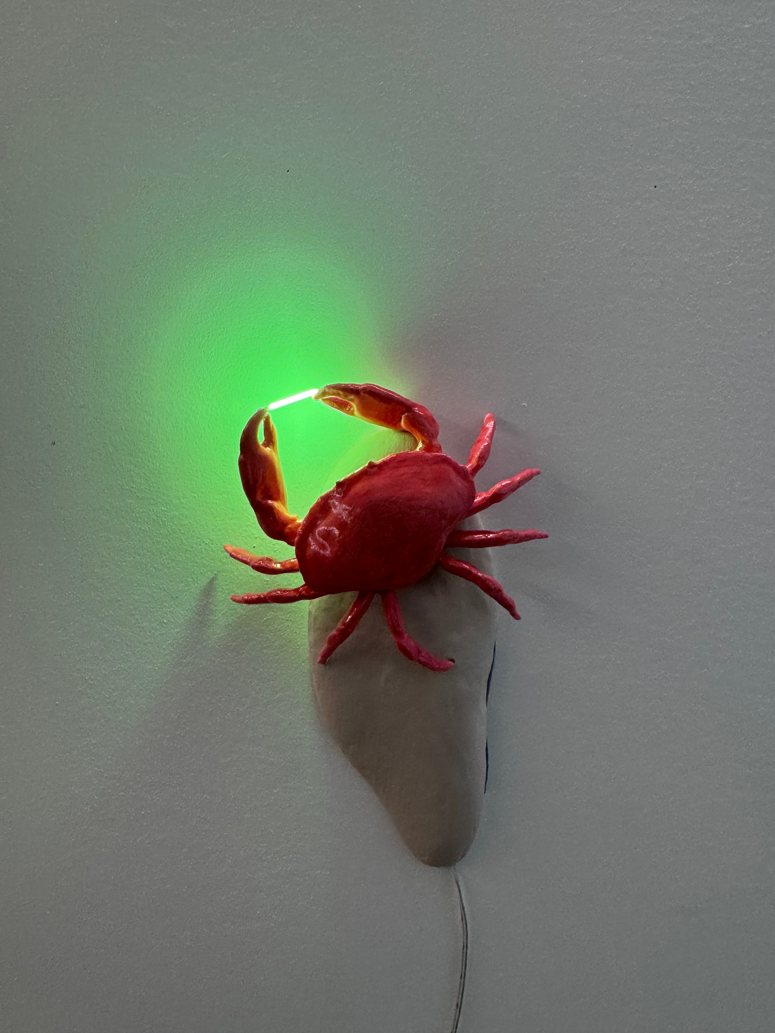 Crab Light